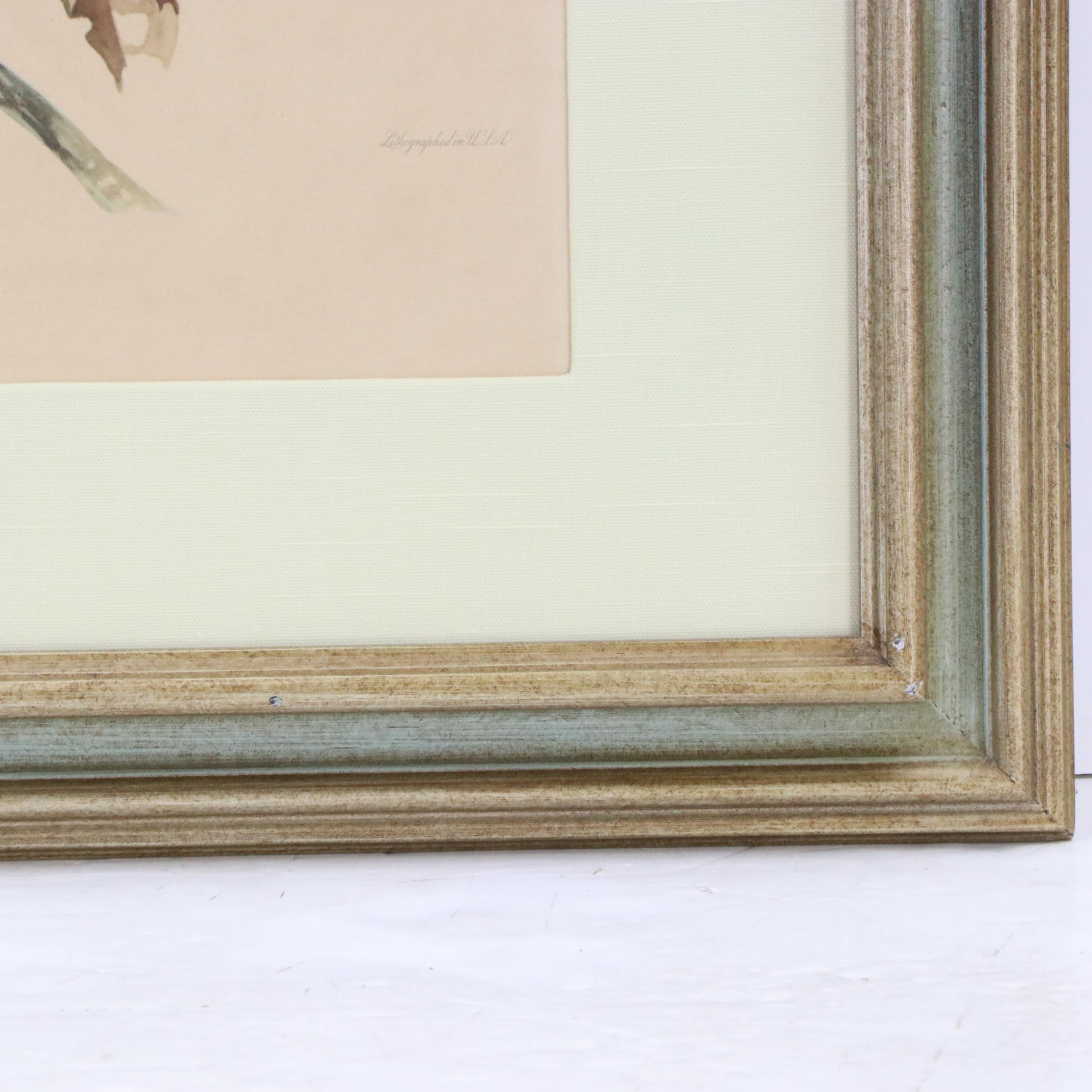 Offset Lithograph After Roger Tory Peterson "Blue Jay"