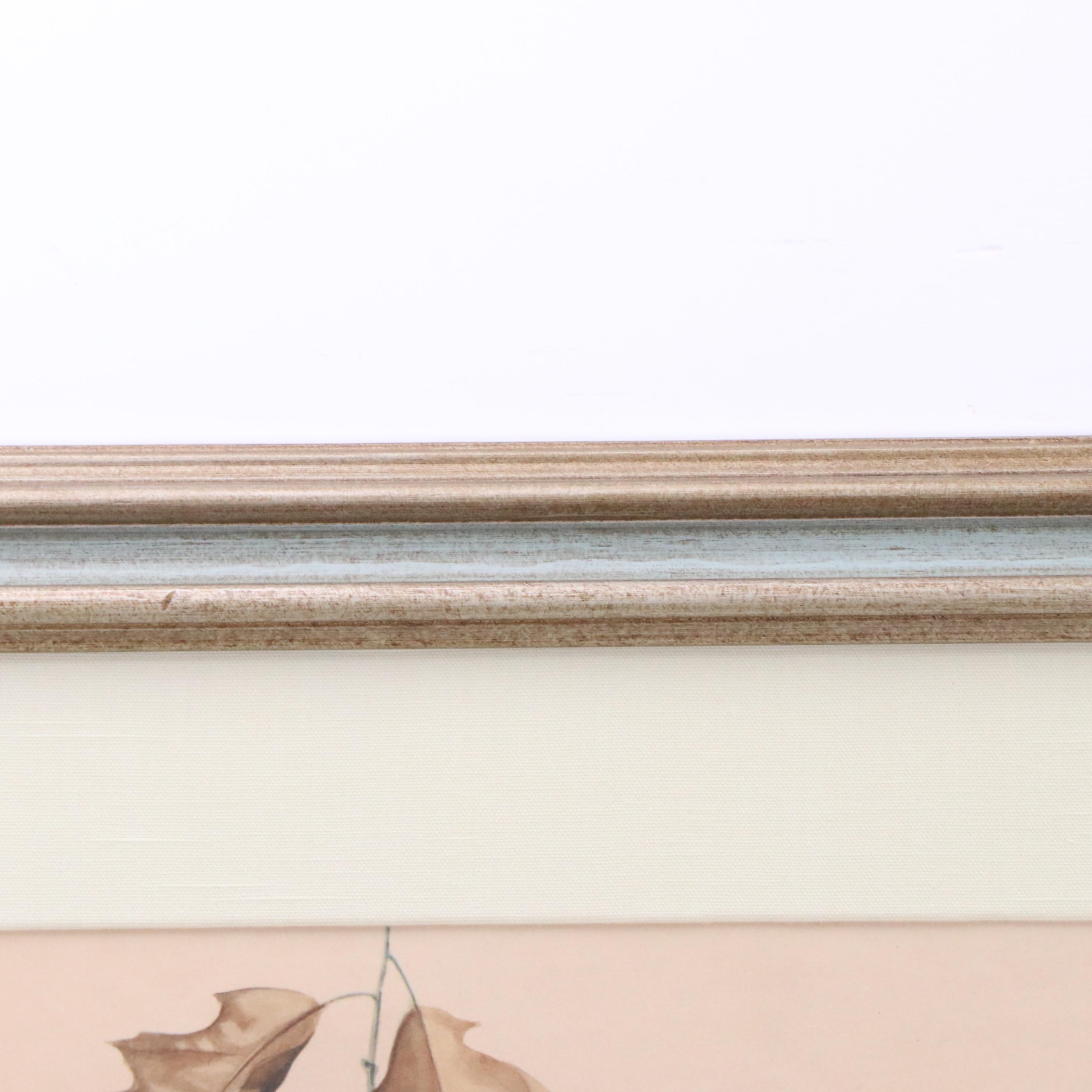 Offset Lithograph After Roger Tory Peterson "Blue Jay"