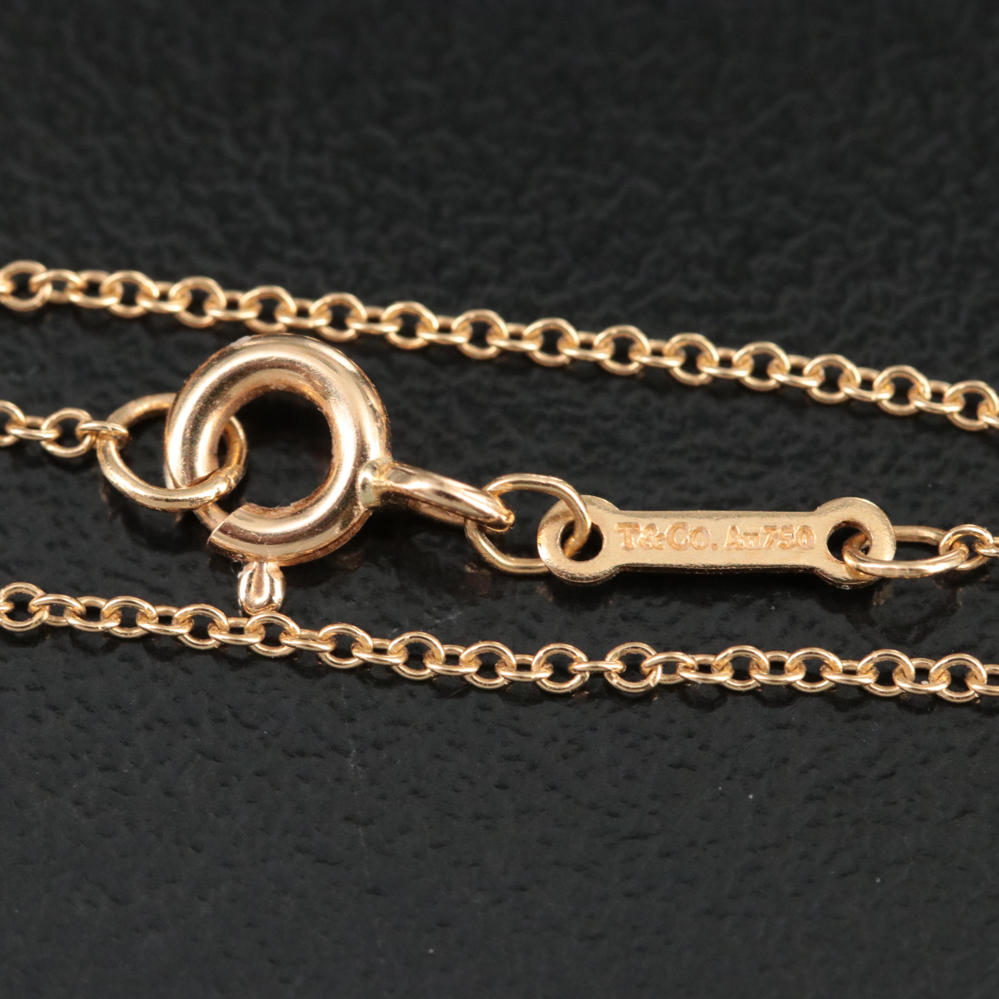Paloma Picasso for Tiffany & Co. "Gold" 18K Necklace