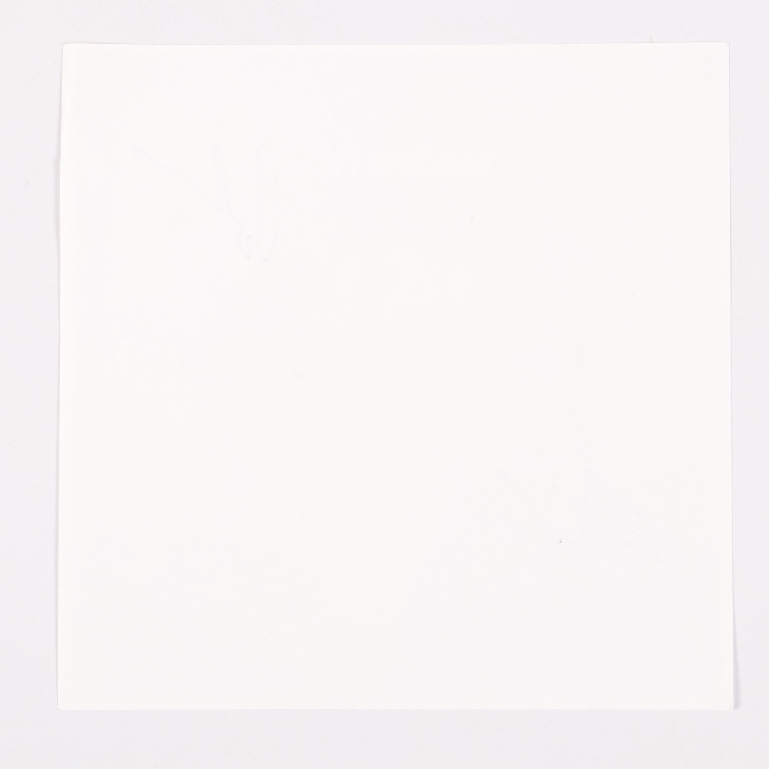 Goo Goo Dolls Signed "Magnetic" Album Cover Print Featuring John Rzeznik & More