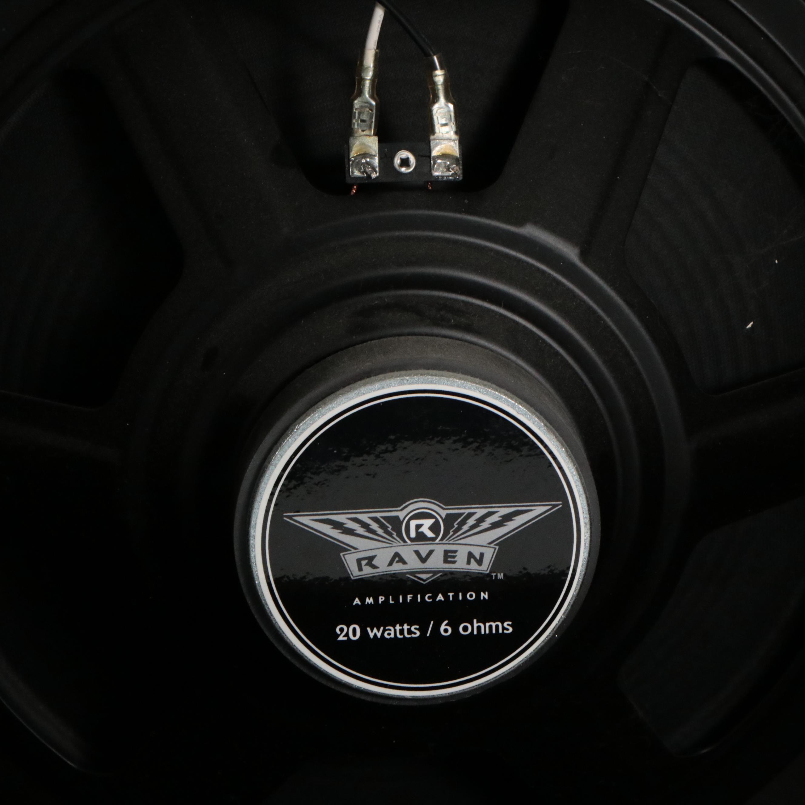 Raven RG20 Guitar Combo Amplifier