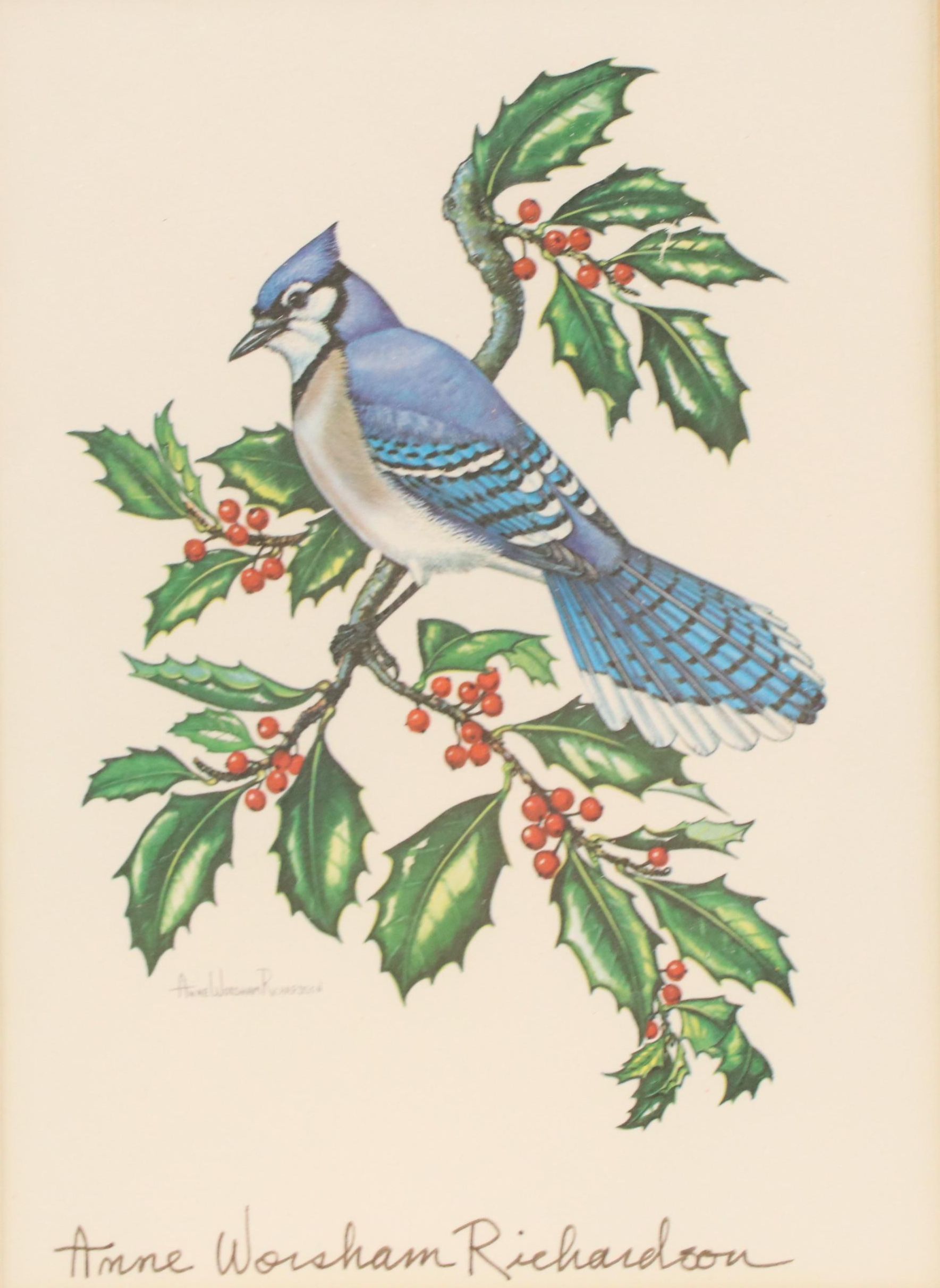 Anne Worsham Richardson Offset Lithograph of Blue Jay