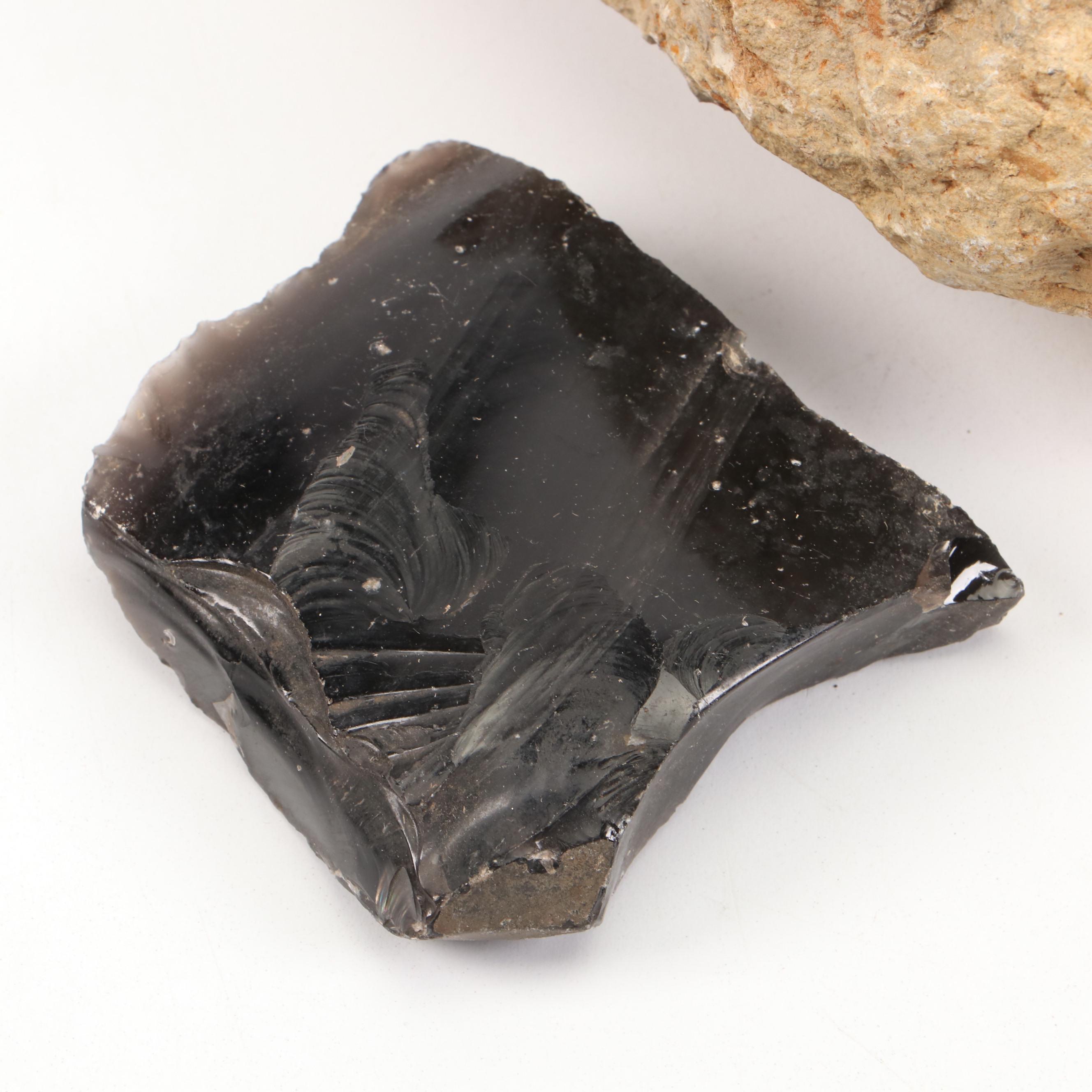 Rough Ammonoid Fossil with Raw Obsidian Specimen