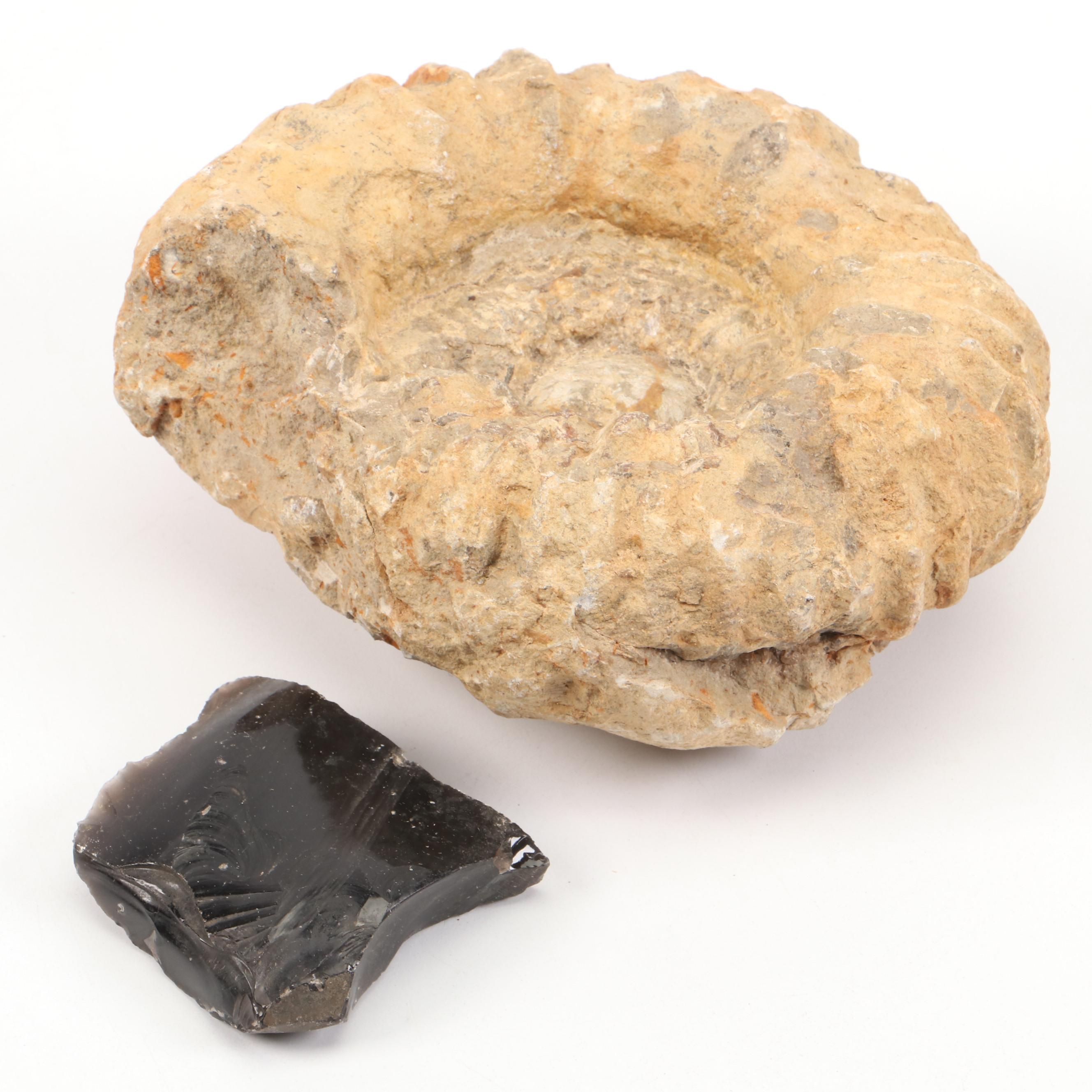 Rough Ammonoid Fossil with Raw Obsidian Specimen