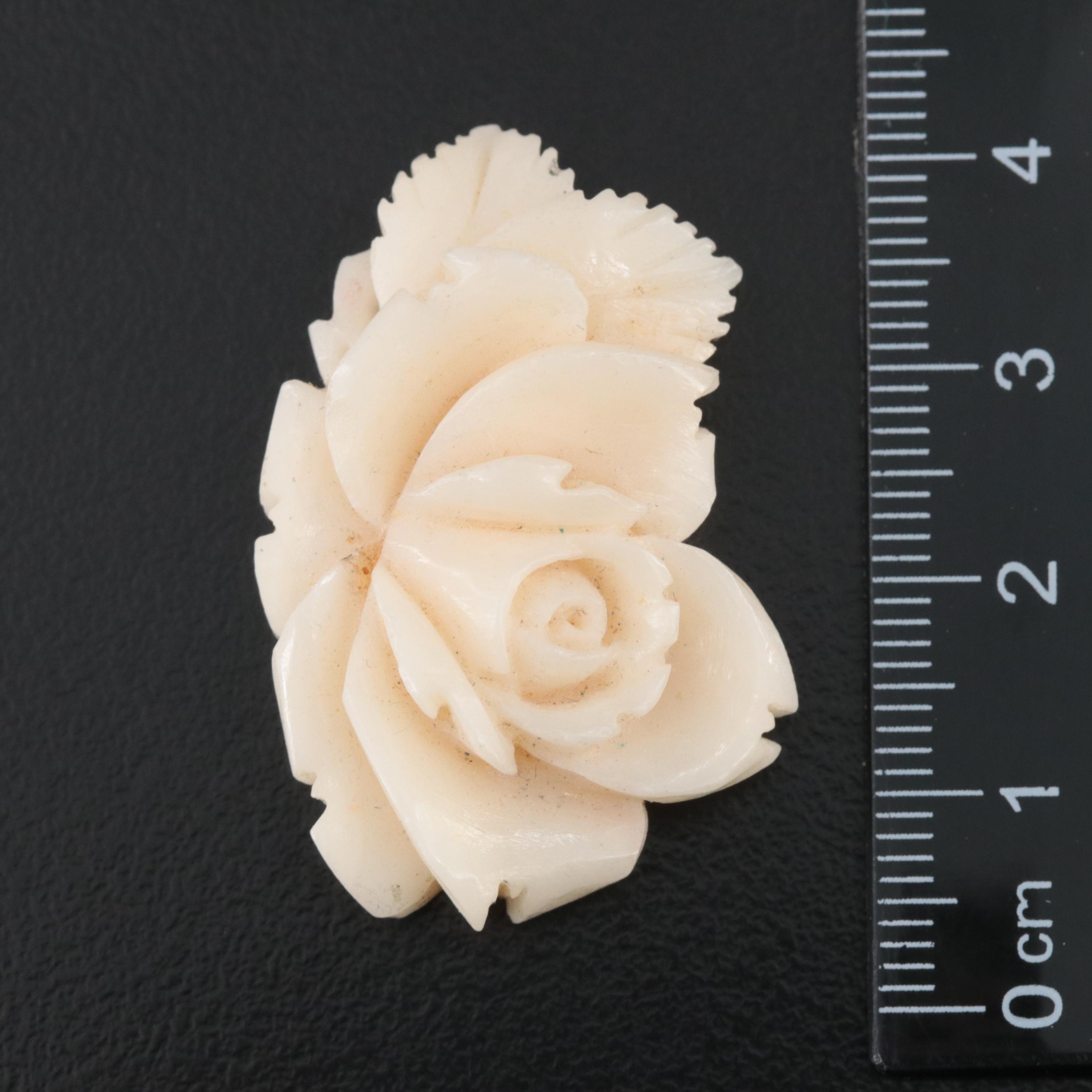Loose Carved Angel Skin Coral
