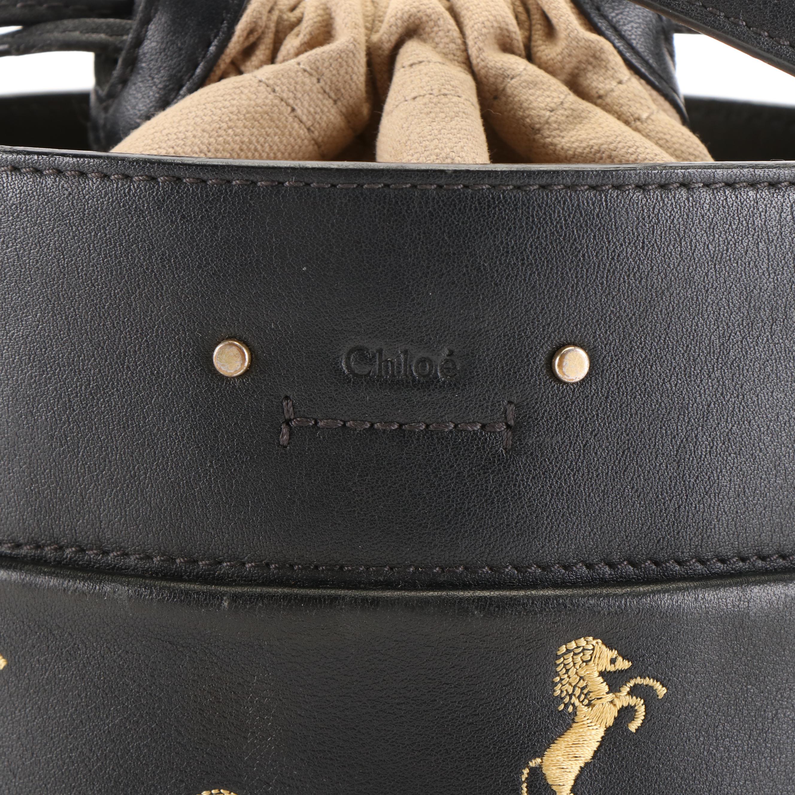 Chloé Roy Embroidered Mini Horse Leather Bucket Bag