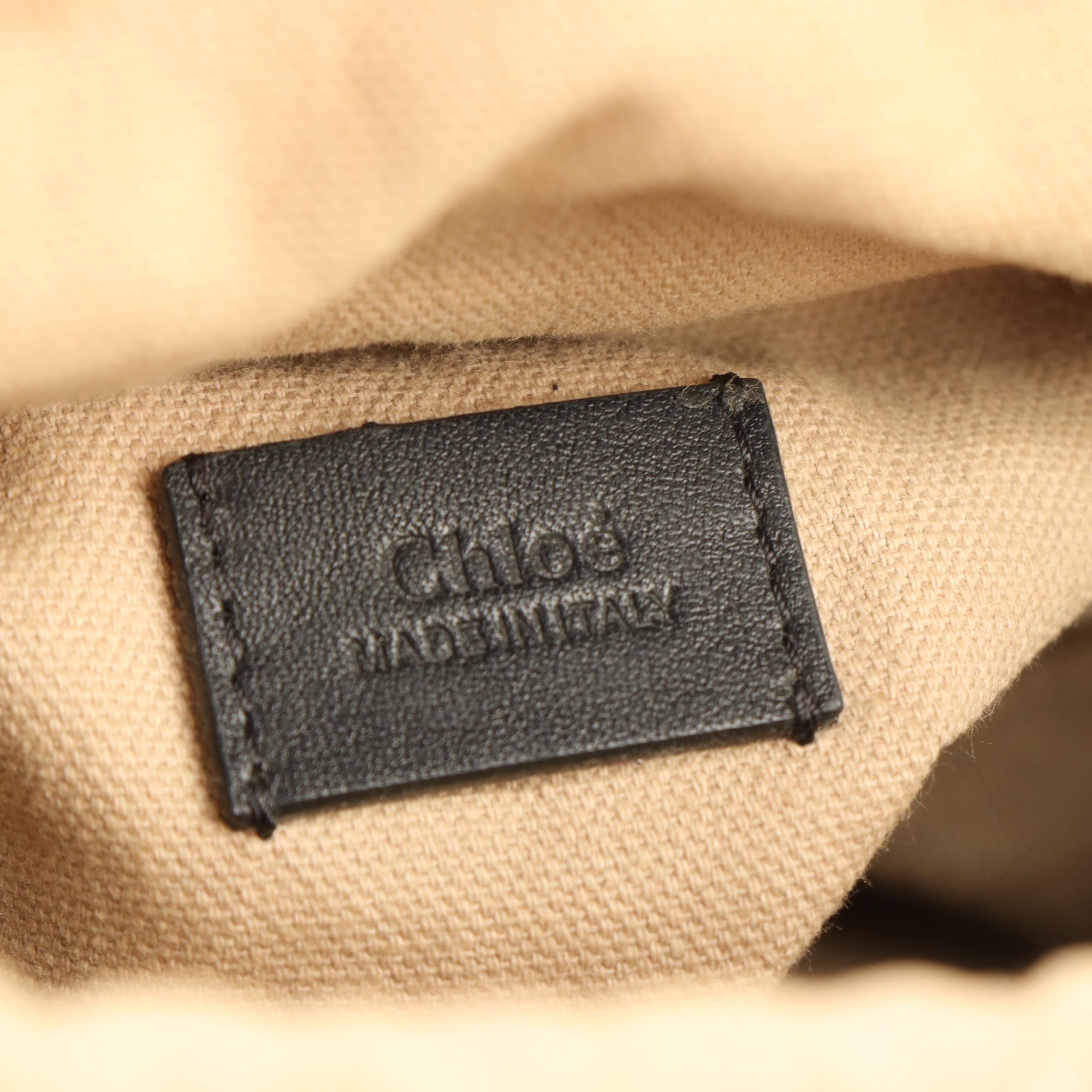 Chloé Roy Embroidered Mini Horse Leather Bucket Bag