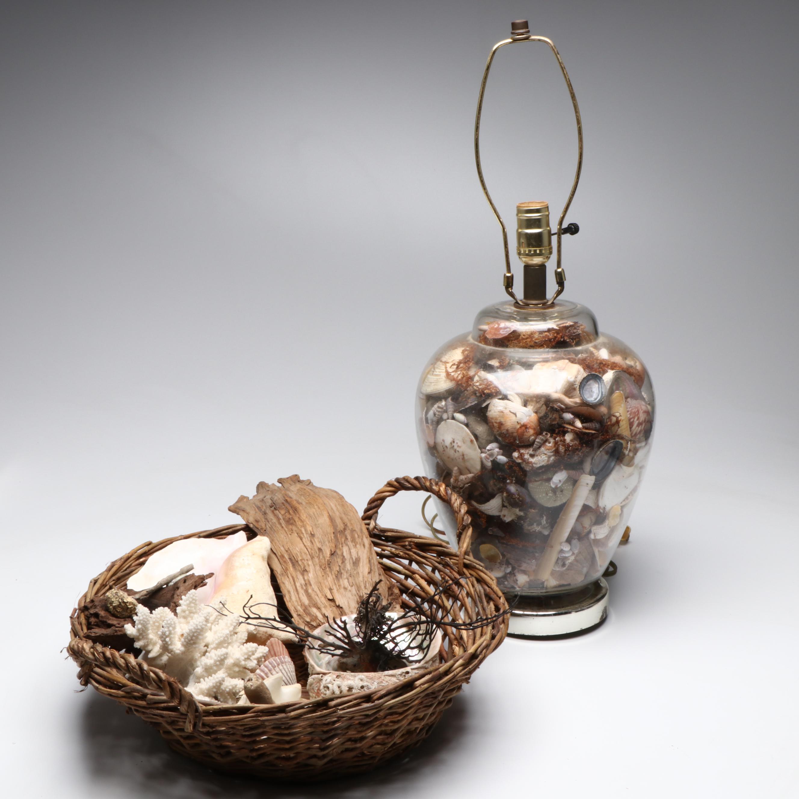 Abalone Shell, Black Coral, Fossil Coral, Clam Shells, Barnacles & Seaweed Lamp