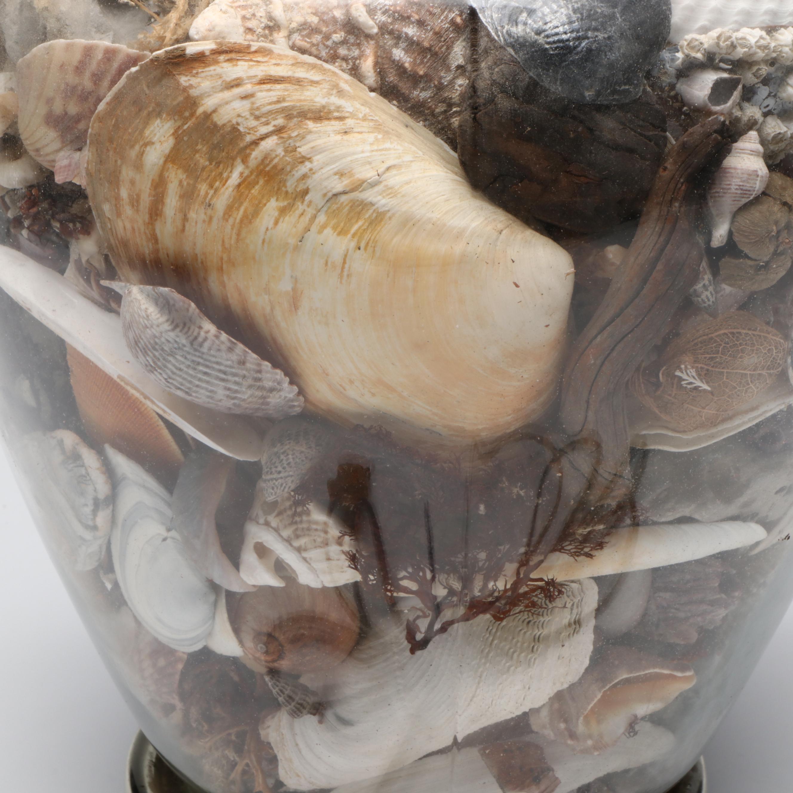 Abalone Shell, Black Coral, Fossil Coral, Clam Shells, Barnacles & Seaweed Lamp