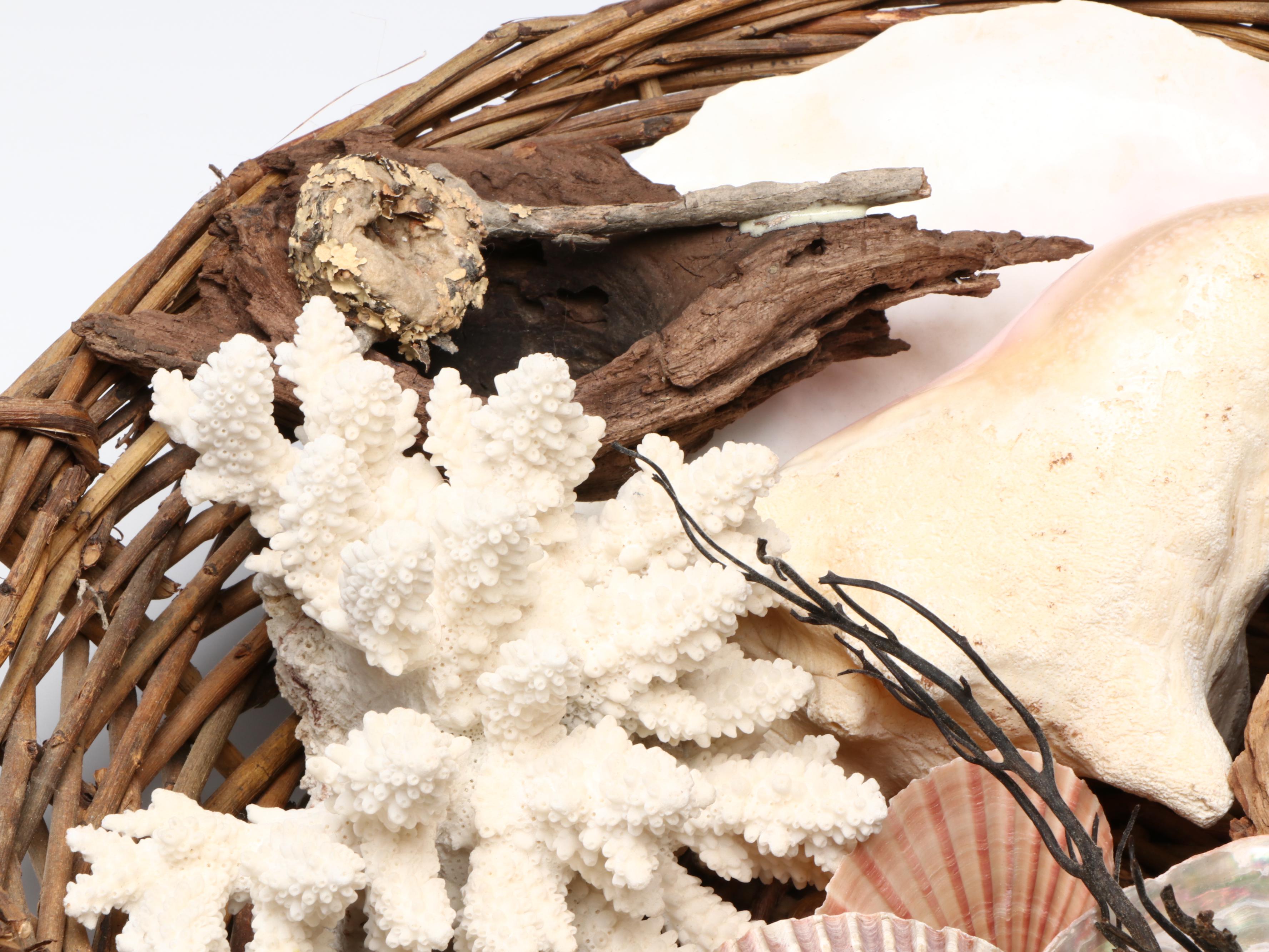 Abalone Shell, Black Coral, Fossil Coral, Clam Shells, Barnacles & Seaweed Lamp