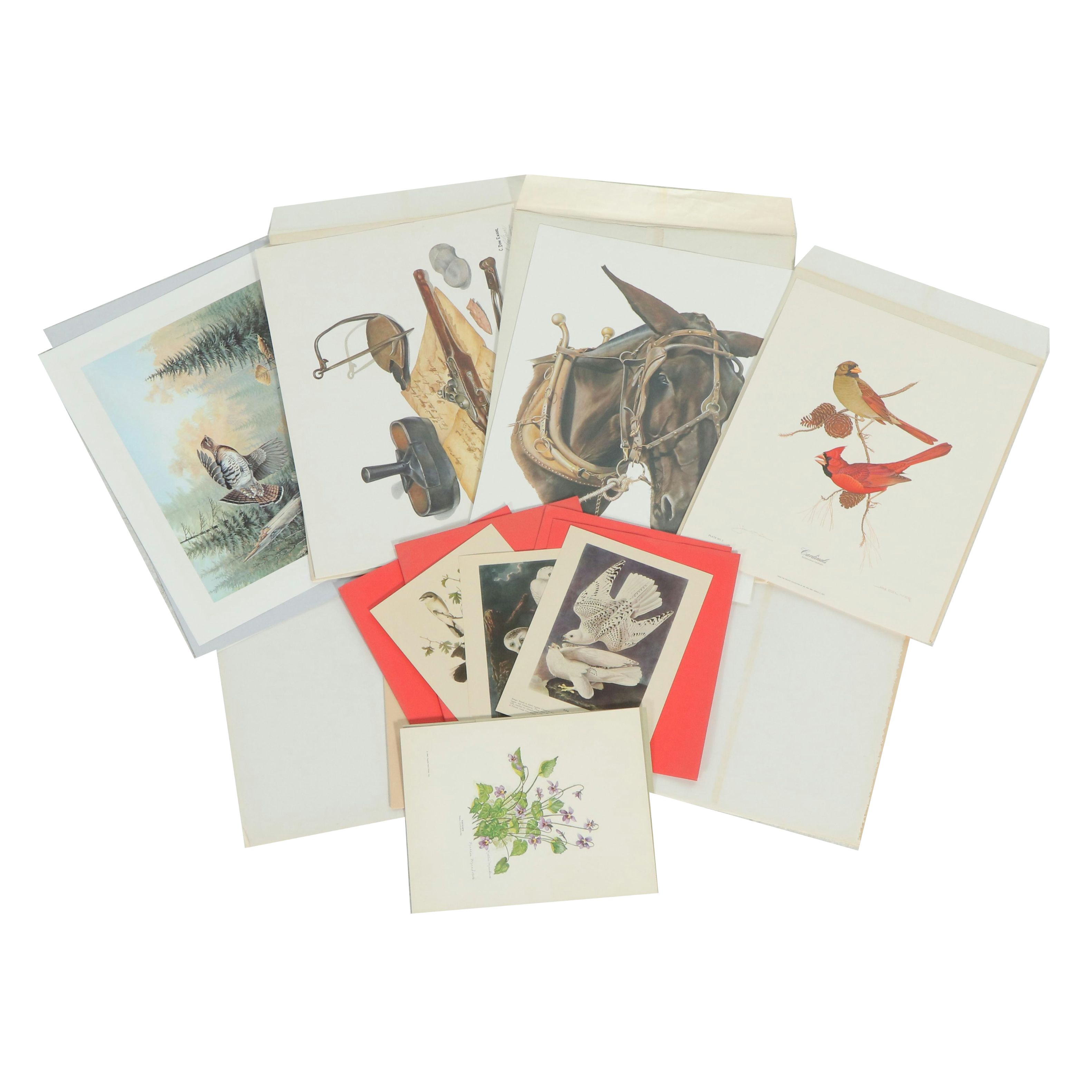 Dietmar Krumrey Offset Lithograph "Hasty Retreat - Ruffed Grouse" and More