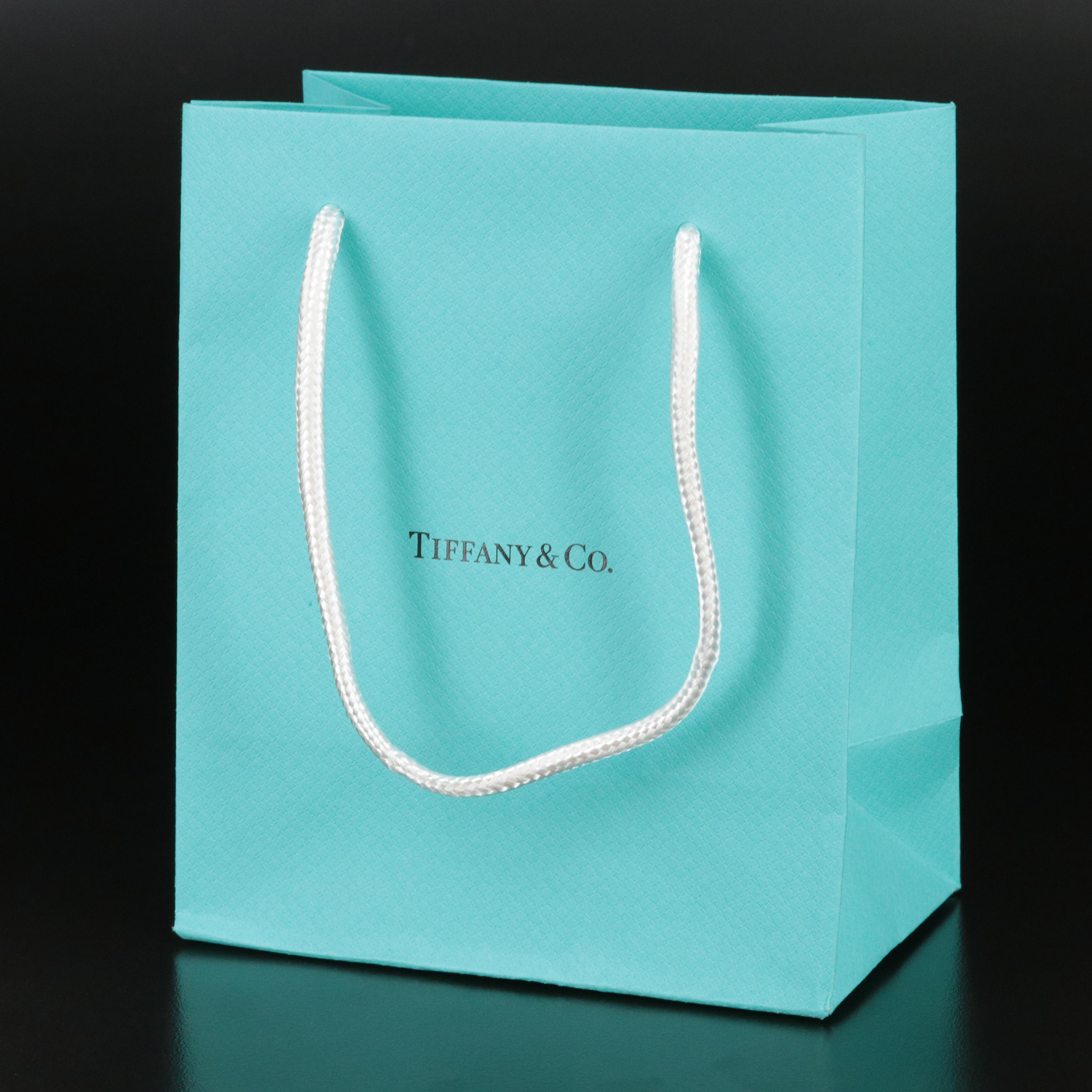 Paloma Picasso for Tiffany & Co. Sterling Olive Leaf Necklace