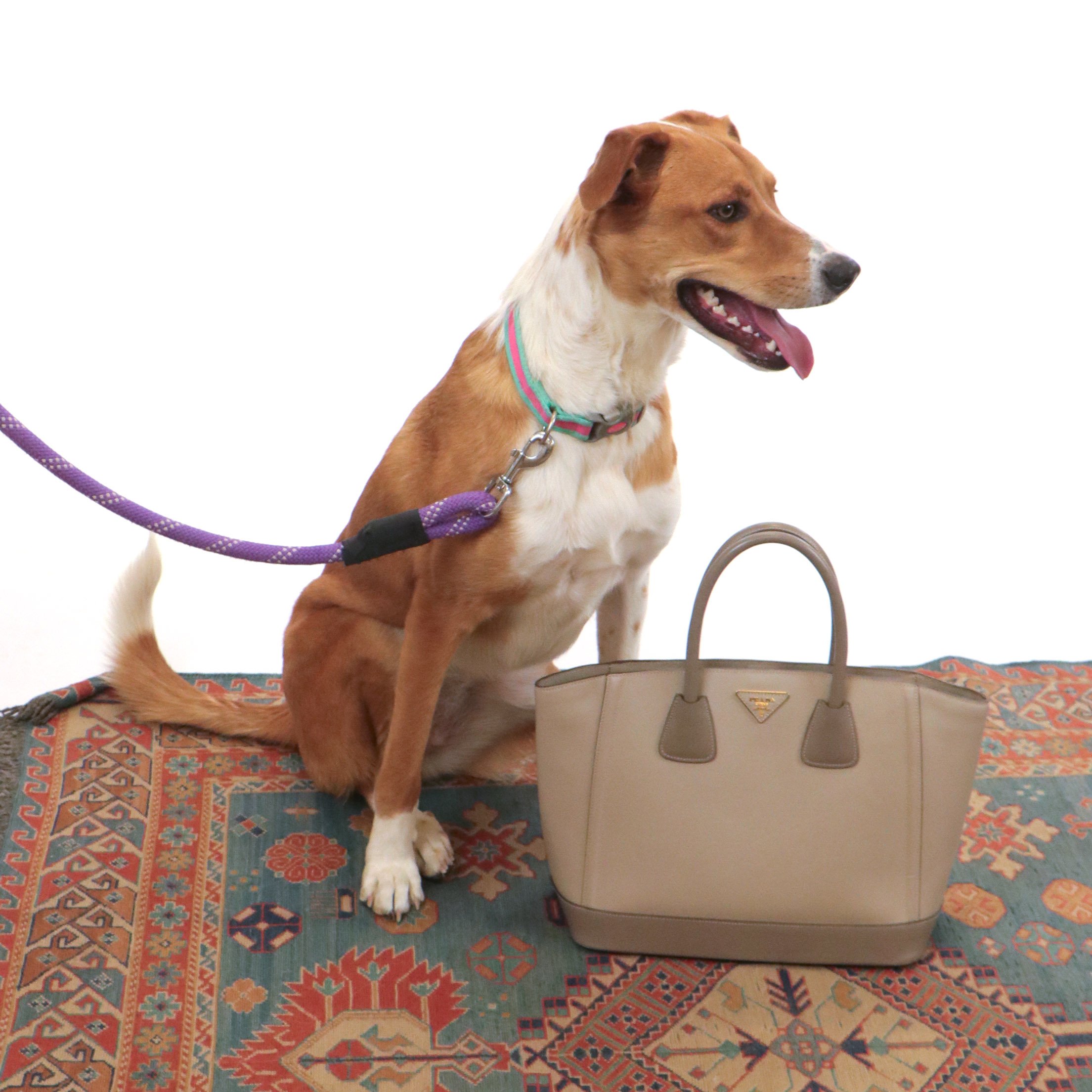 Prada Shopping Tote in Saffiano Lux Grey Leather With Model Willa