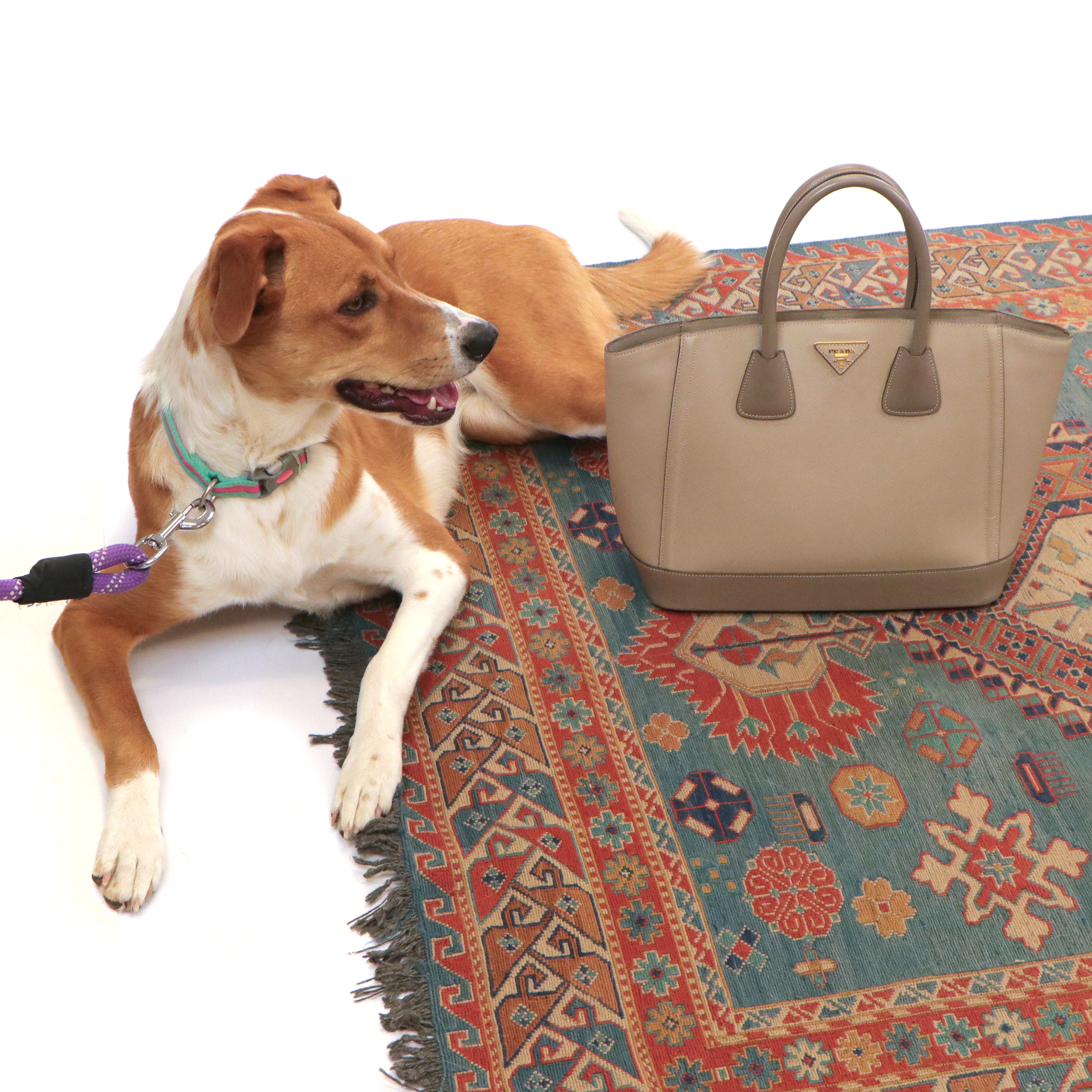 Prada Shopping Tote in Saffiano Lux Grey Leather With Model Willa