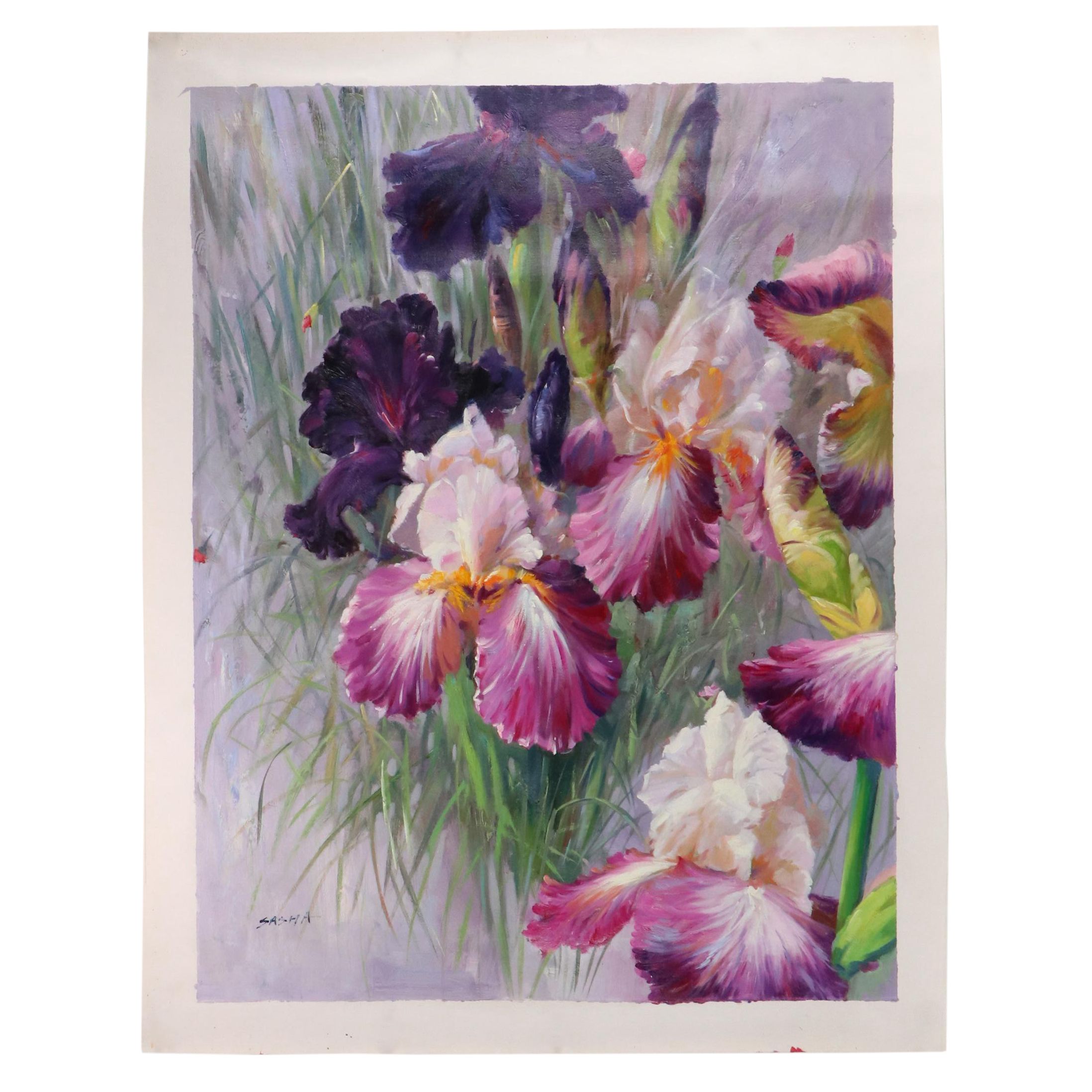 Sasha Bearded Irises Oil Painting, 21st Century
