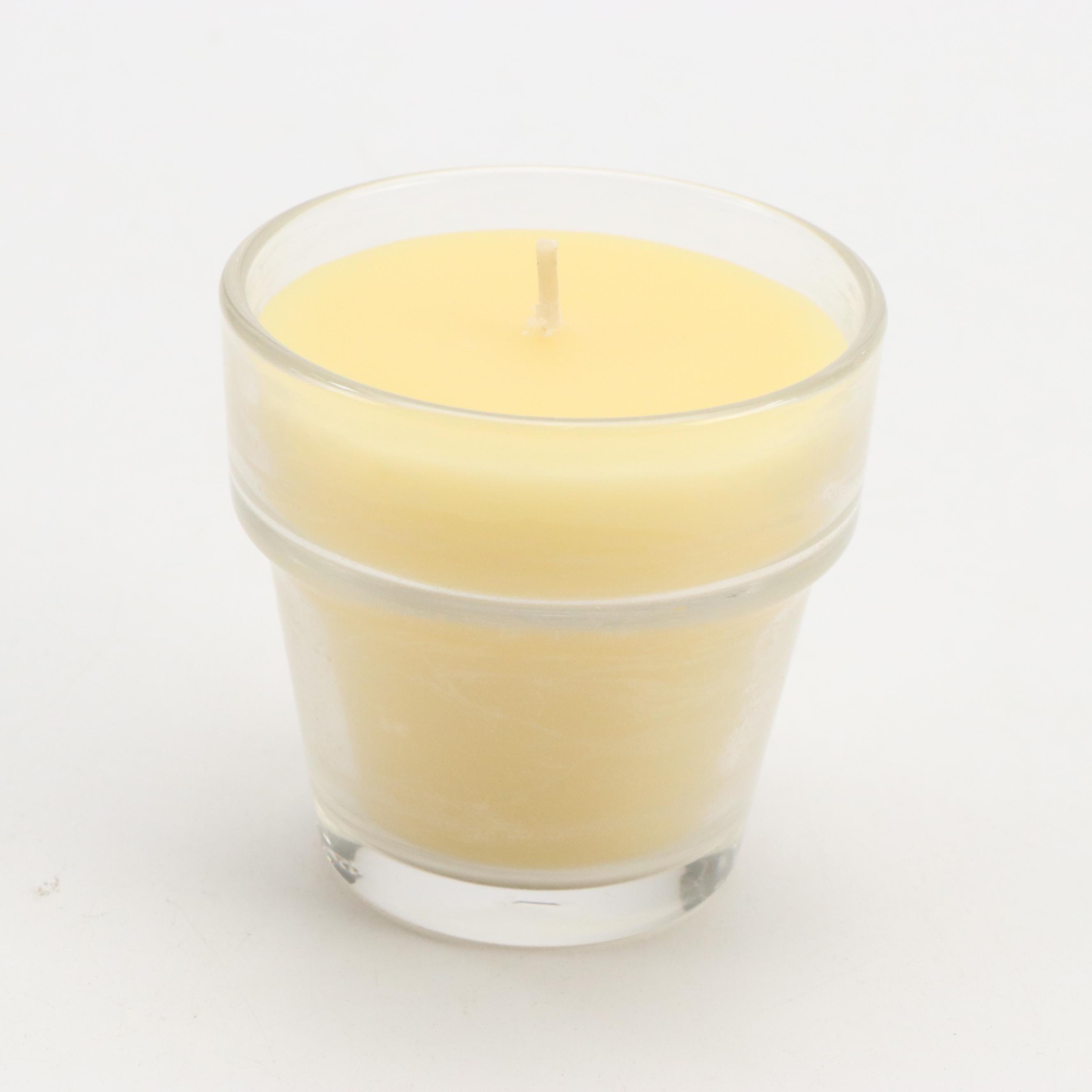 Virginia Anderson "Evening Garden" Wax Candle with More Candles