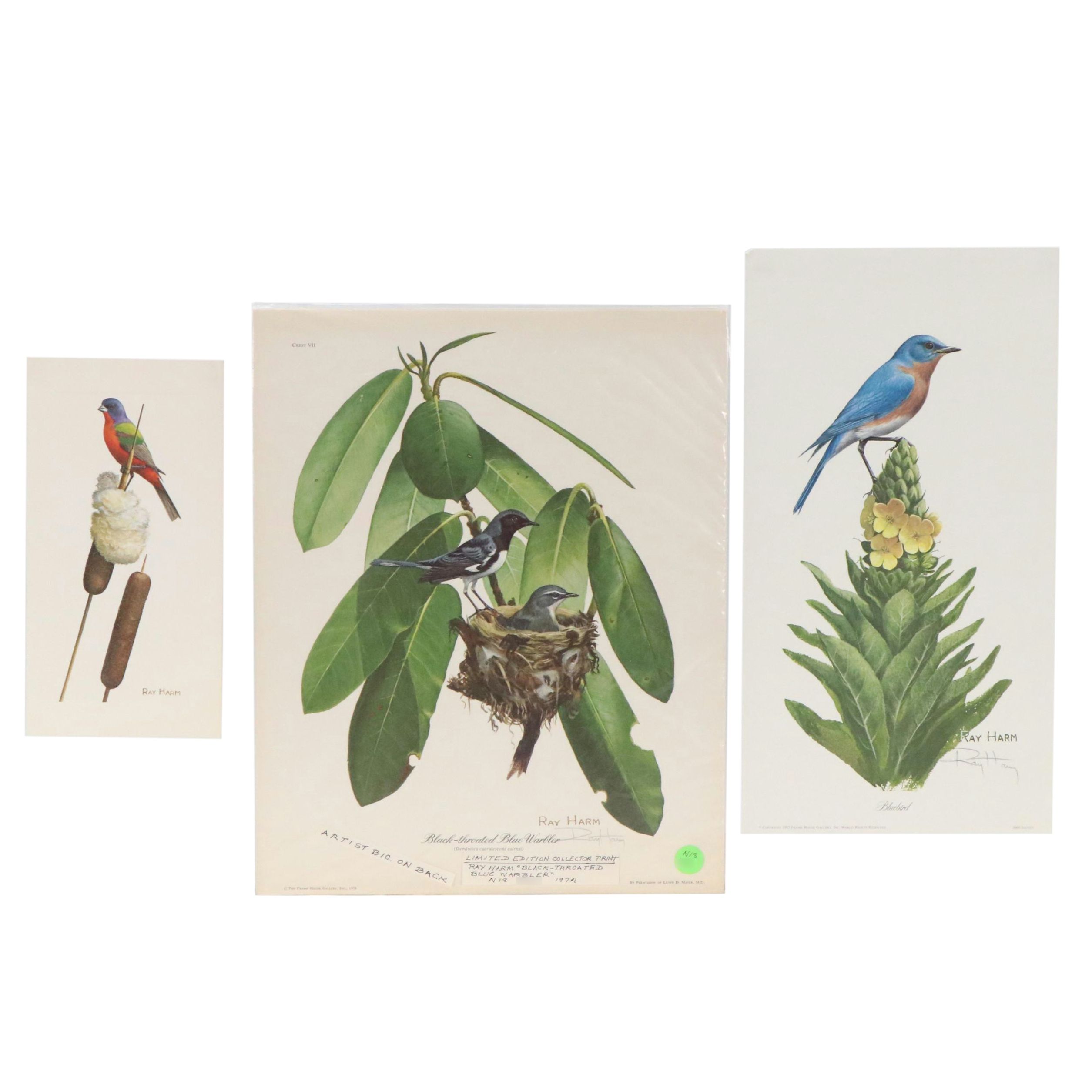 Ray Harm Ornithological Offset Lithographs, Circa 1975