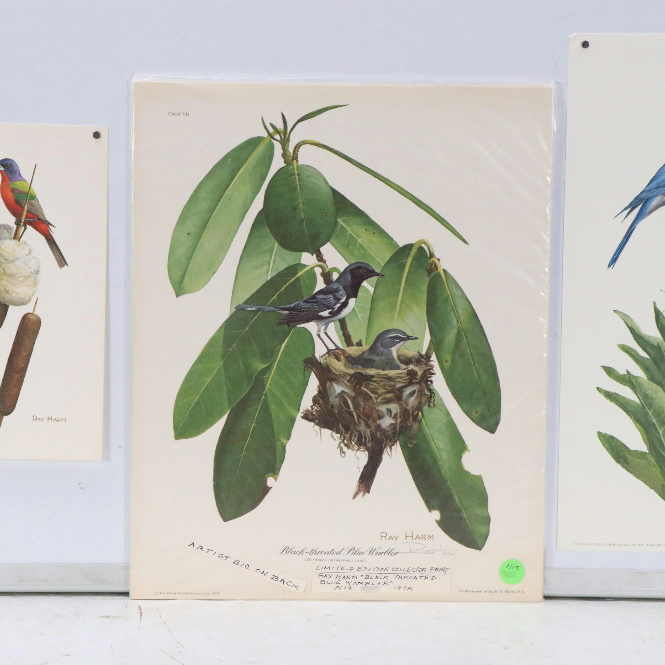 Ray Harm Ornithological Offset Lithographs, Circa 1975