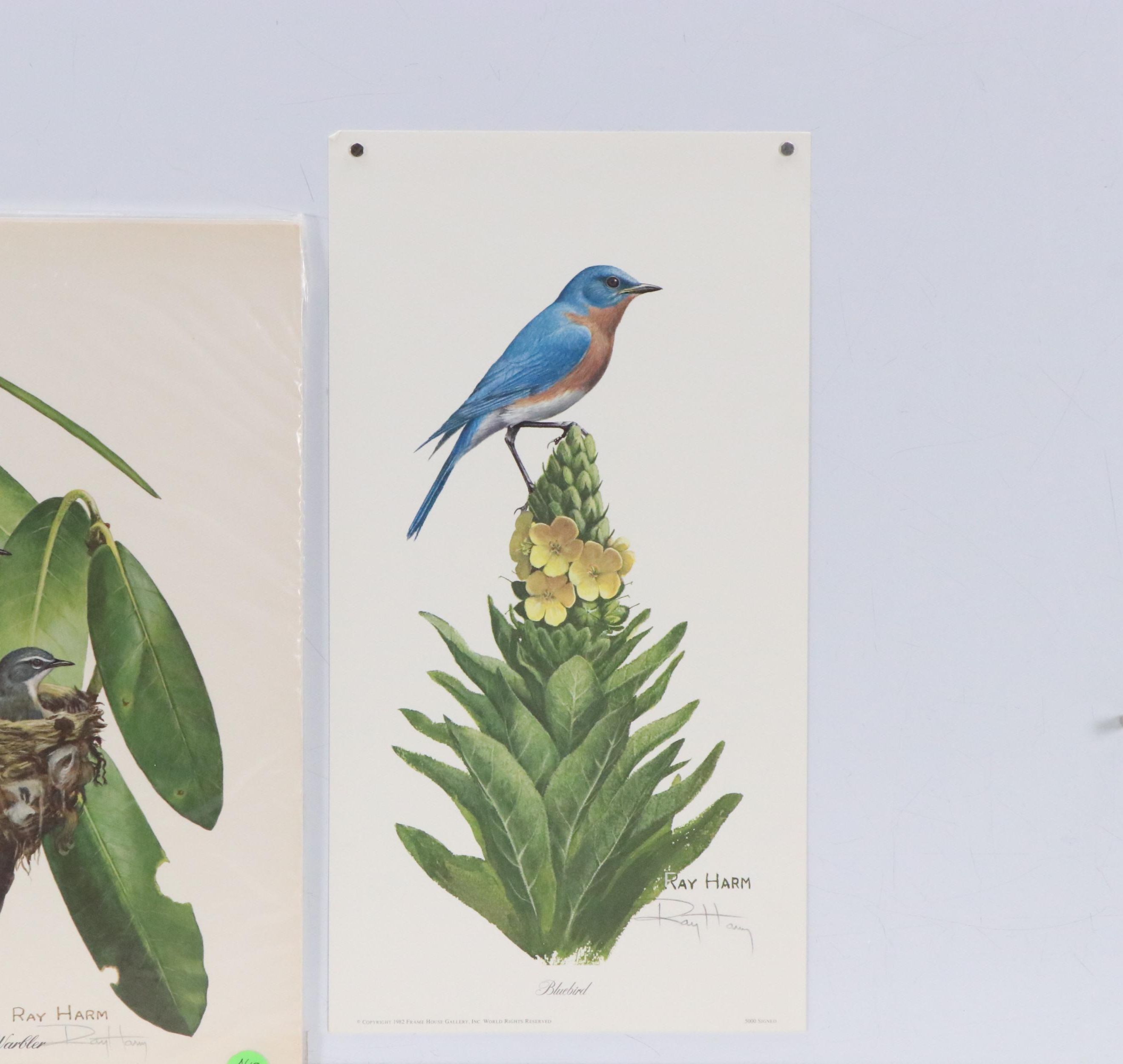 Ray Harm Ornithological Offset Lithographs, Circa 1975