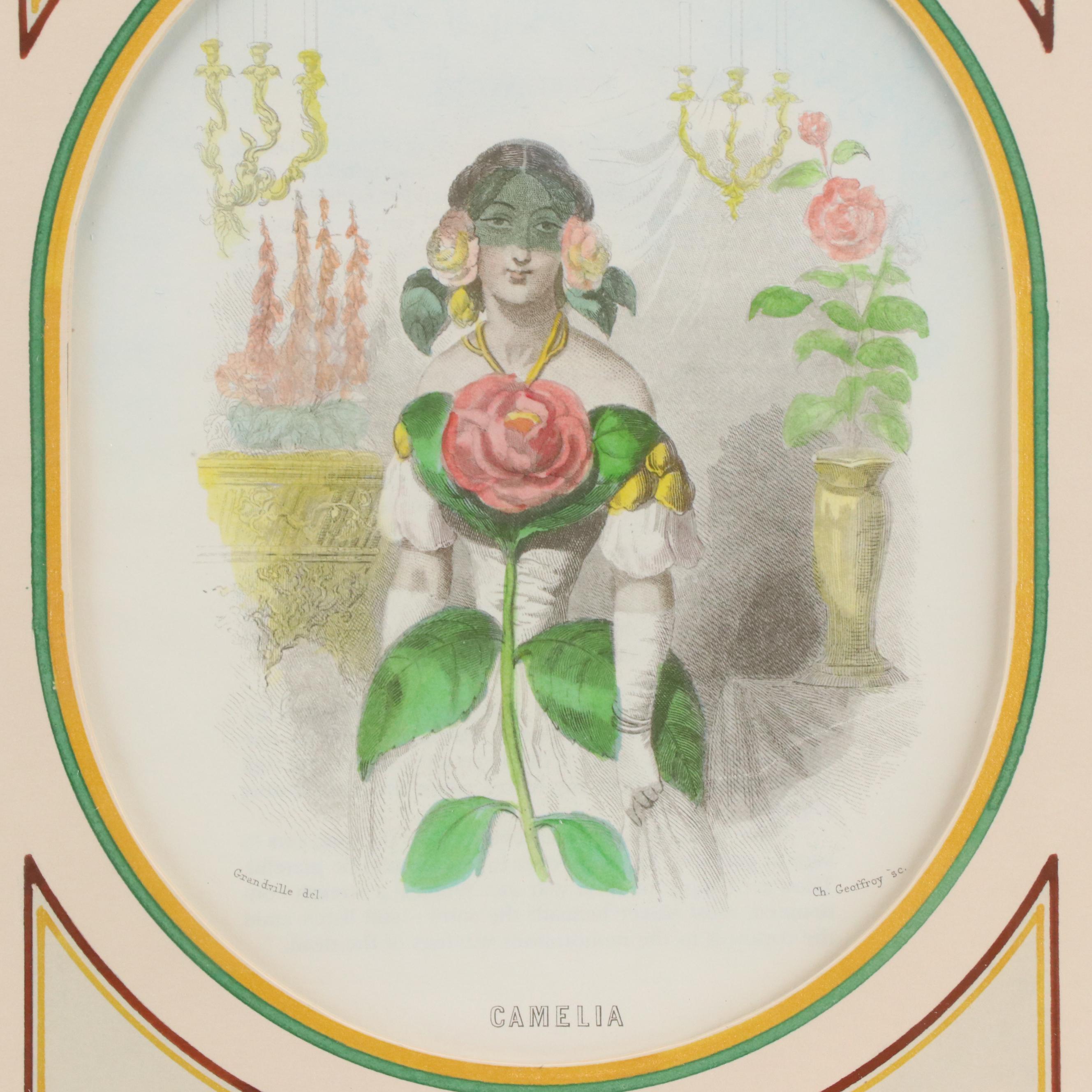 Hand-Colored Offset Lithographs After J. J. Grandville Including "Camelia"