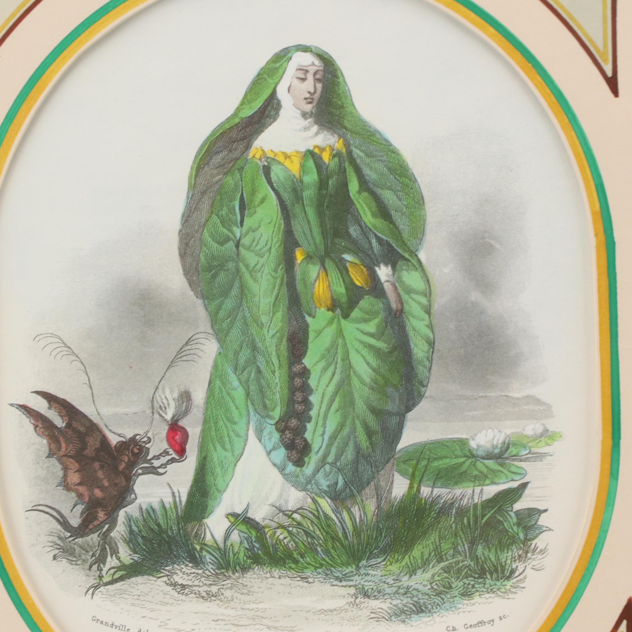 Hand-Colored Offset Lithographs After J. J. Grandville Including "Camelia"
