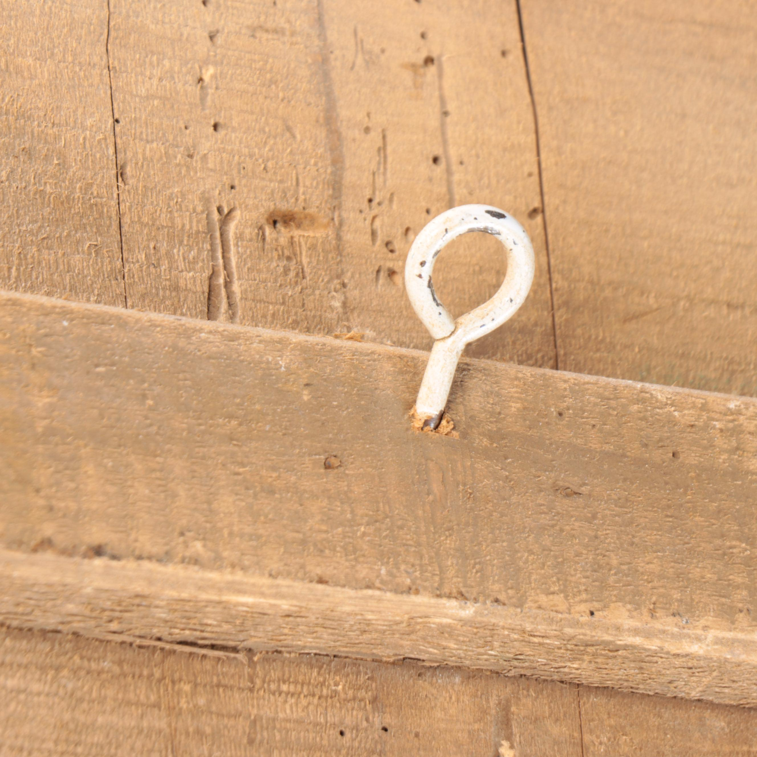 Oil Painting on Cut Out Wood Panel of Parrots in Fruit Tree Topiary