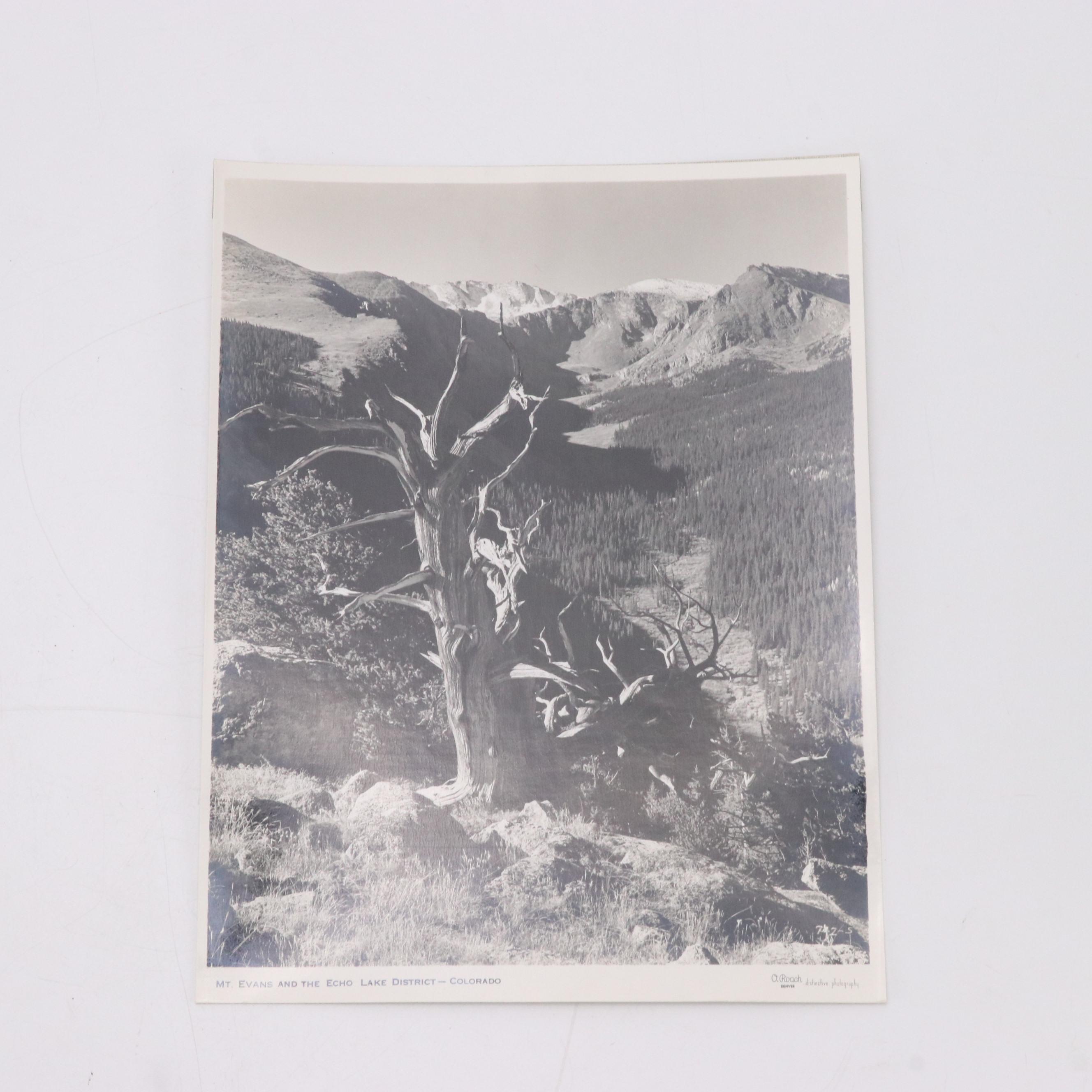 Otto Roach Silver Gelatin Photographs of Colorado