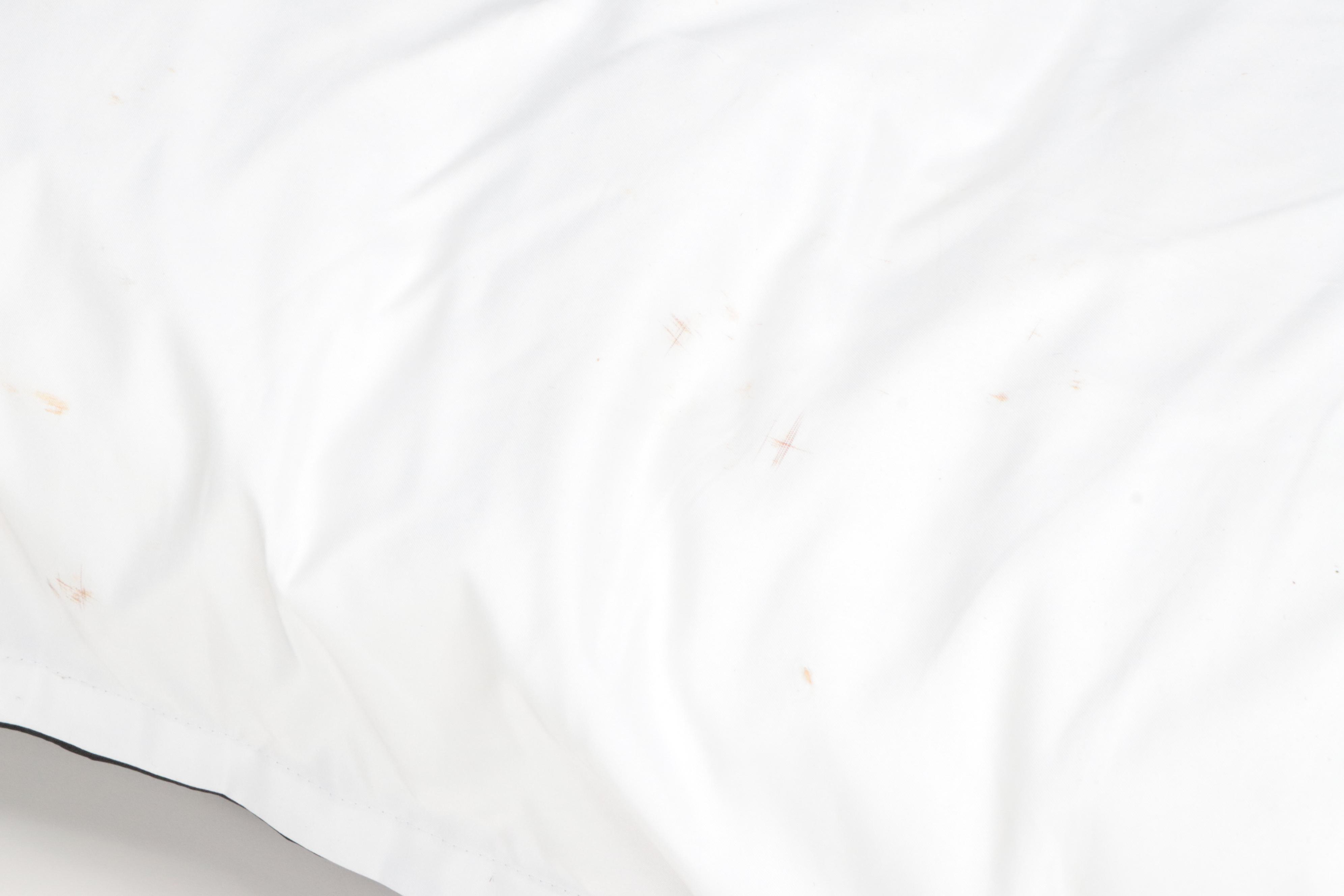 Ryan Gosling Full Body Pillow with Ashler Home Deco Faux Fur Rug