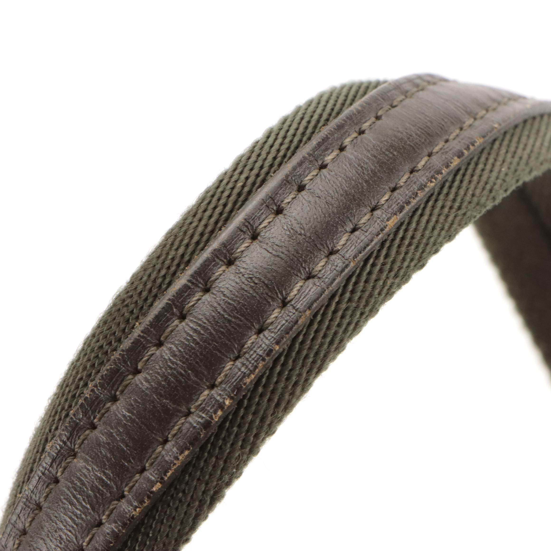 Louis Vuitton Josephine PM Bag in Beige Mini Lin Canvas and Dark Brown Leather