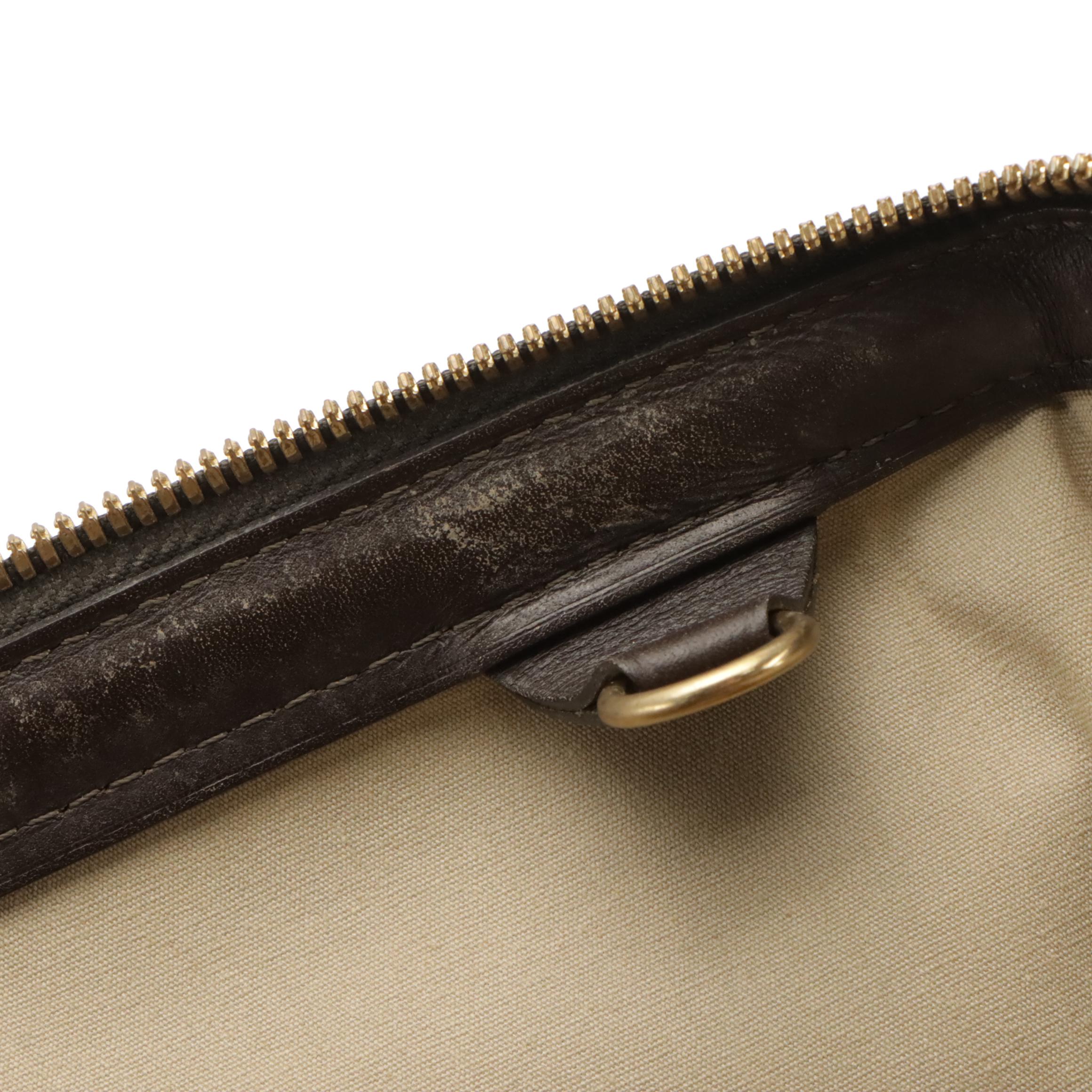 Louis Vuitton Josephine PM Bag in Beige Mini Lin Canvas and Dark Brown Leather