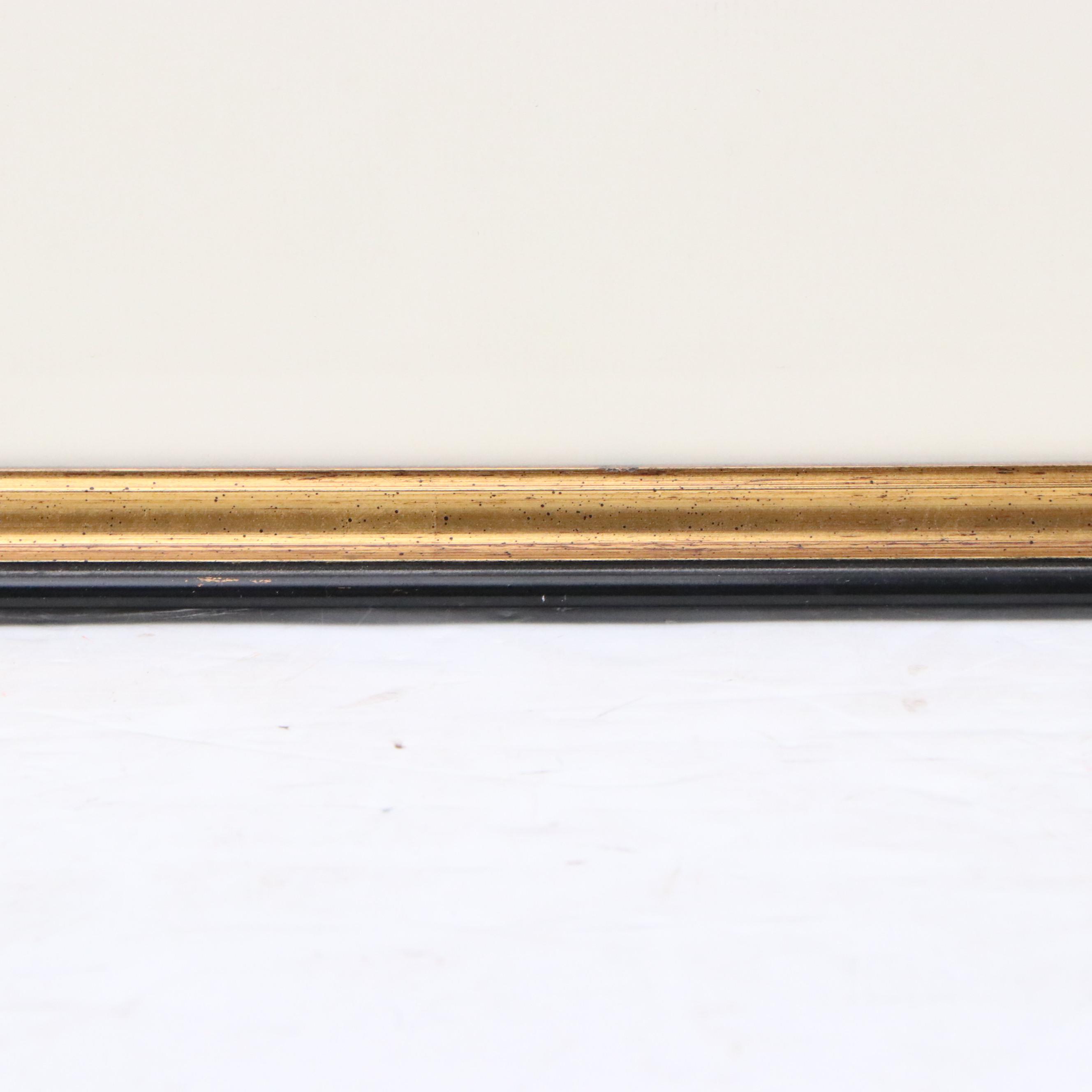 Andrew Picken Lithograph "Forts Constantine & Alexander...," 1838