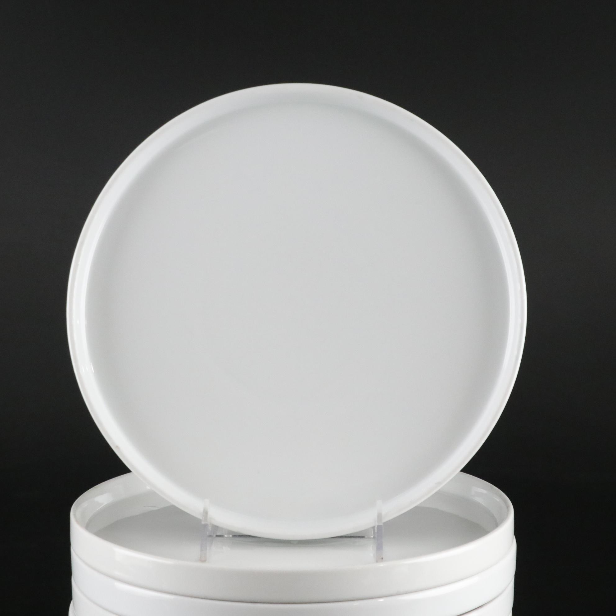 Porcelain "Frank" Dinner Plates by CB2