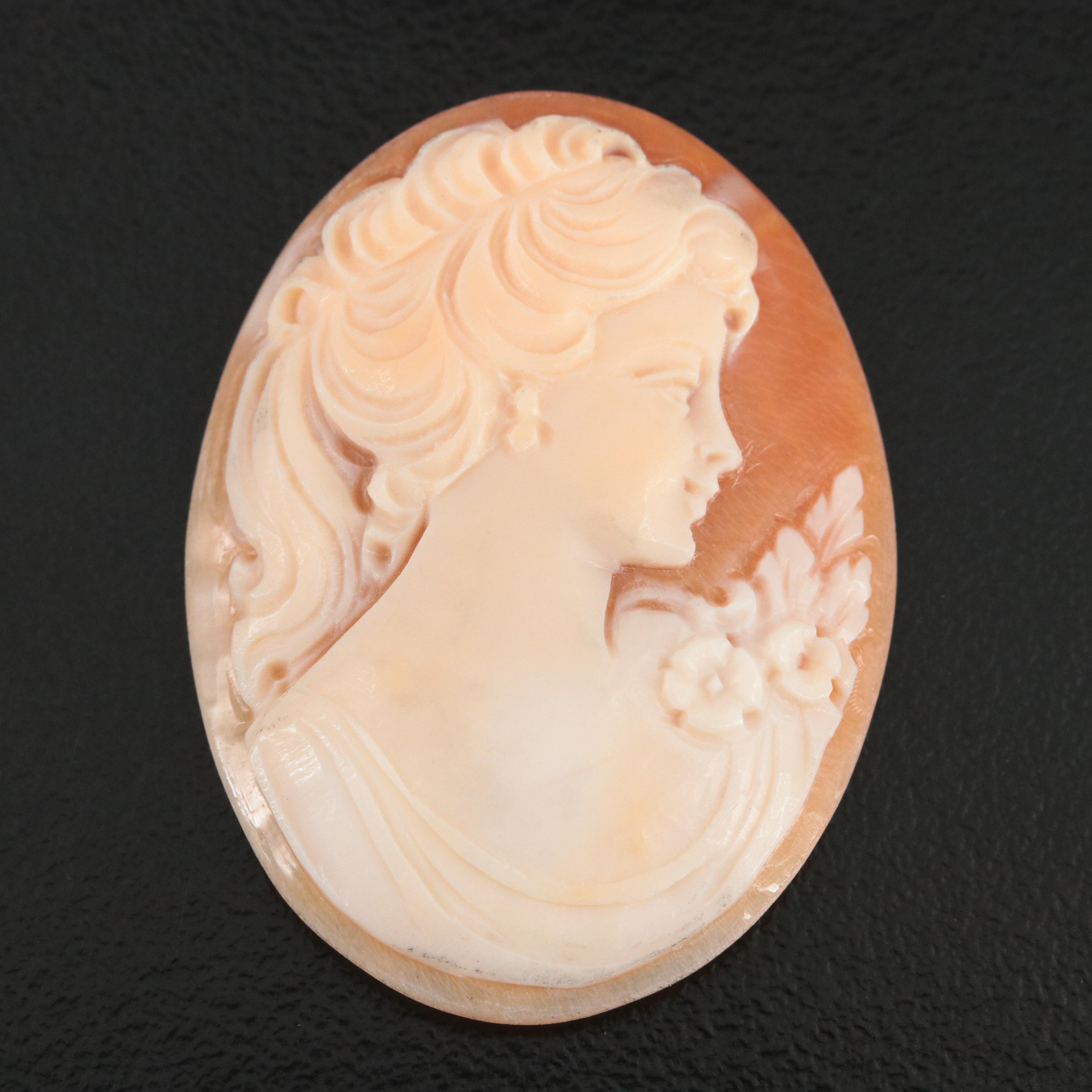 Loose Shell Cameo