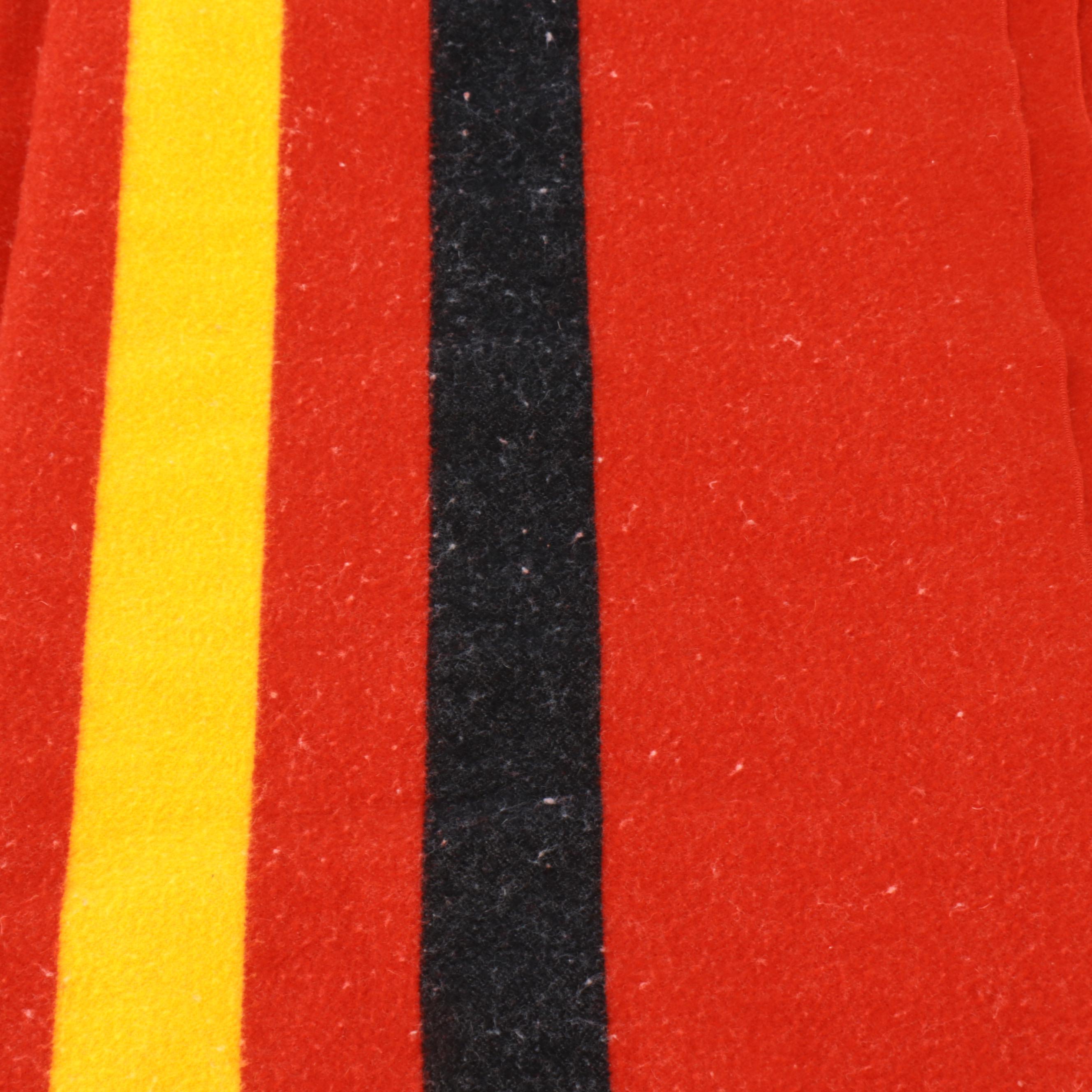 Pendleton- Rainer National Park Series Wool Blanket