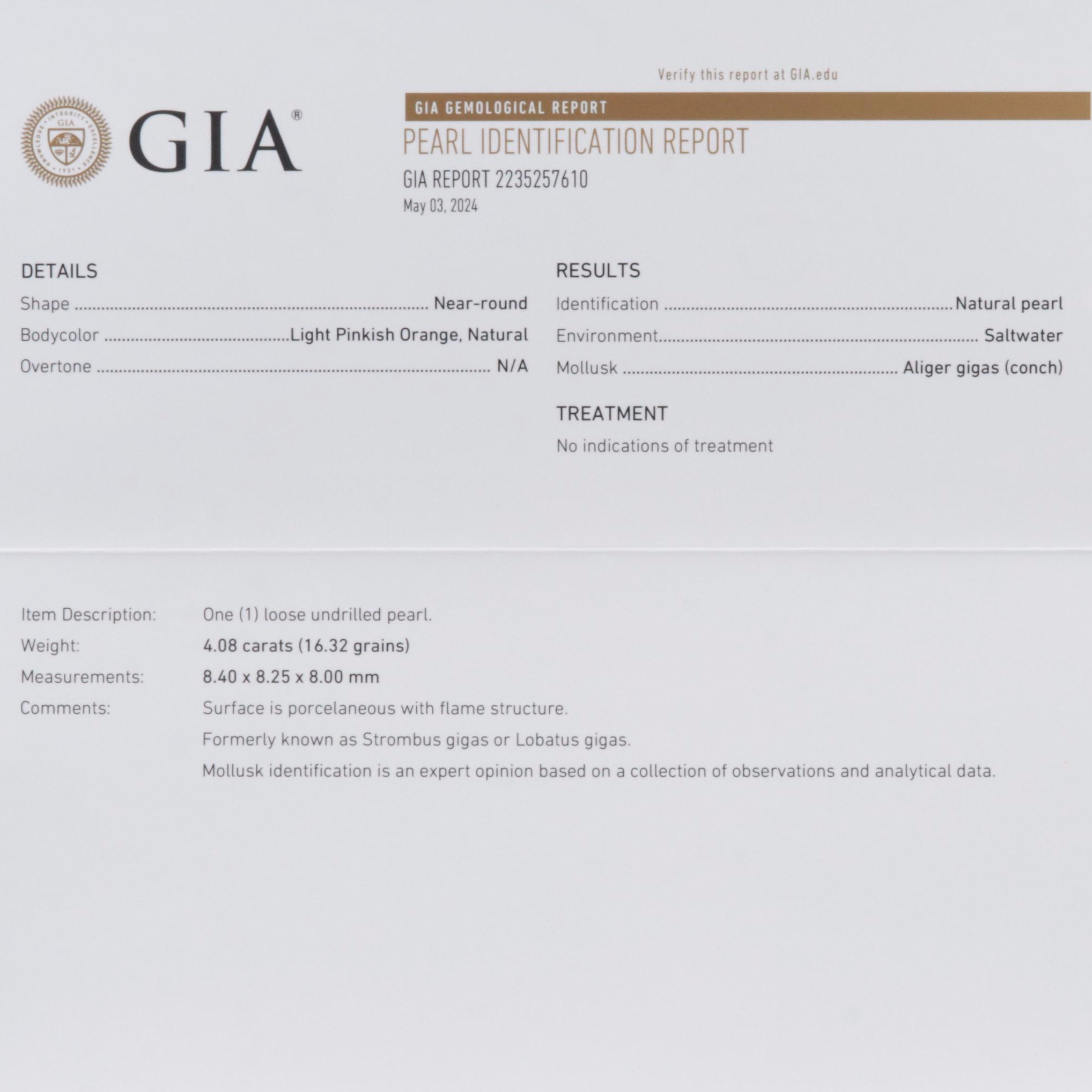 Loose 4.08 CT Natural Untreated Conch Pearl with GIA Report