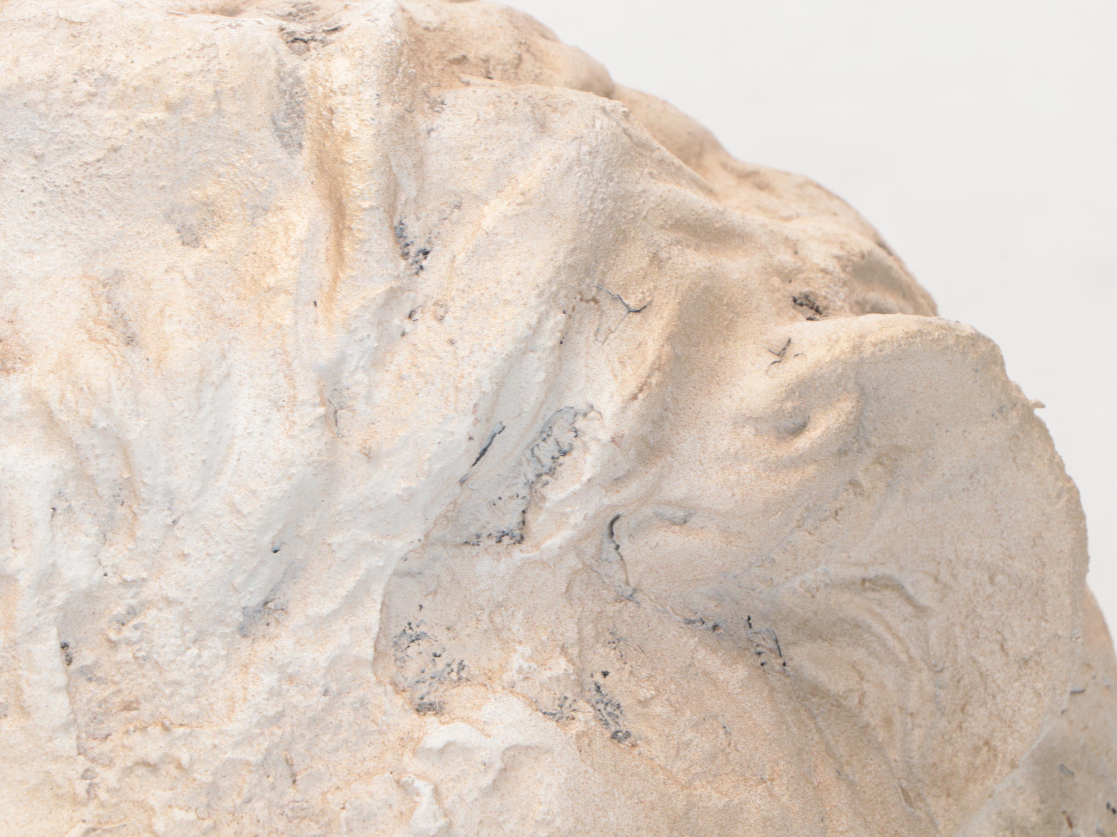 Seated Lion Garden Statue