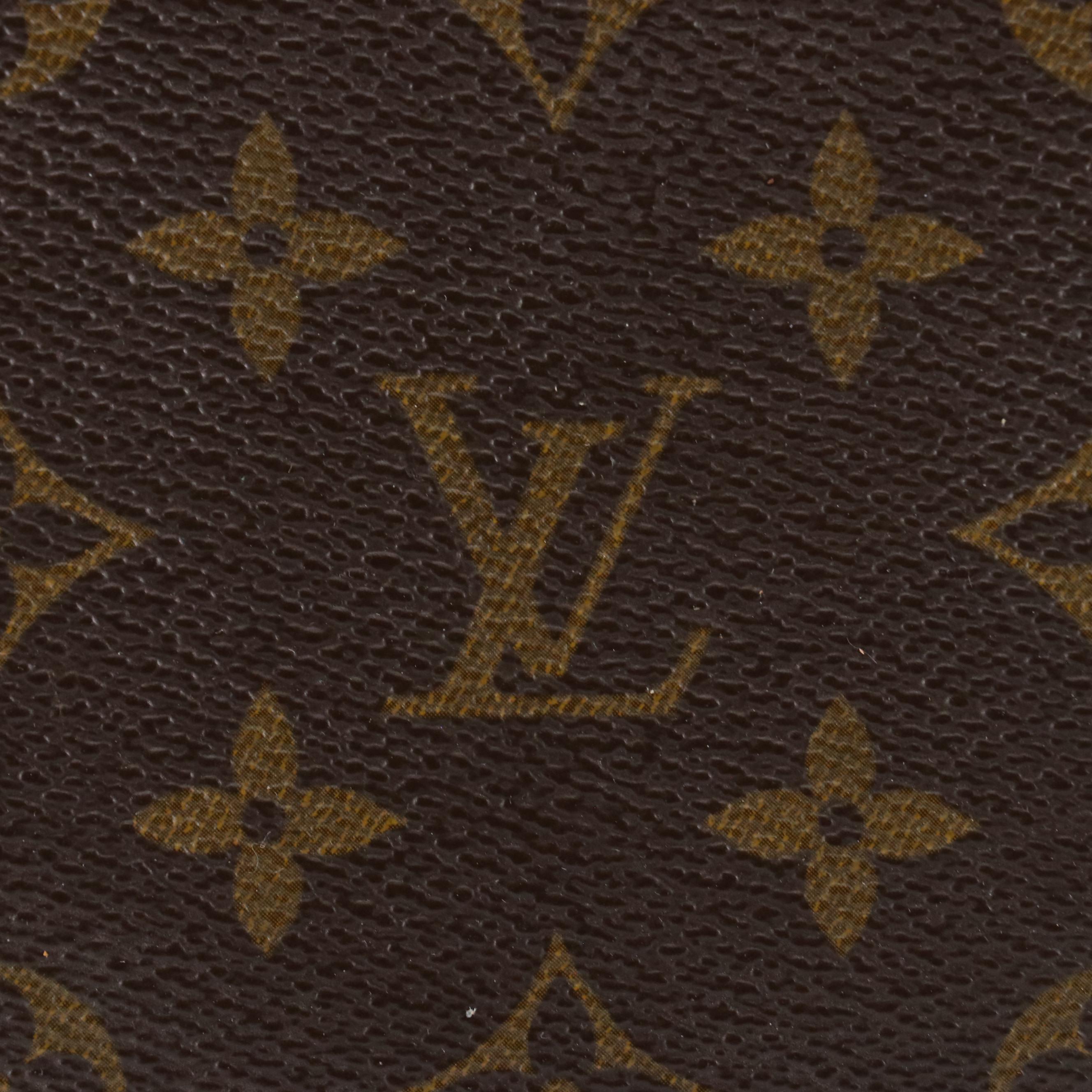 Louis Vuitton Zip Pouch in Monogram Canvas