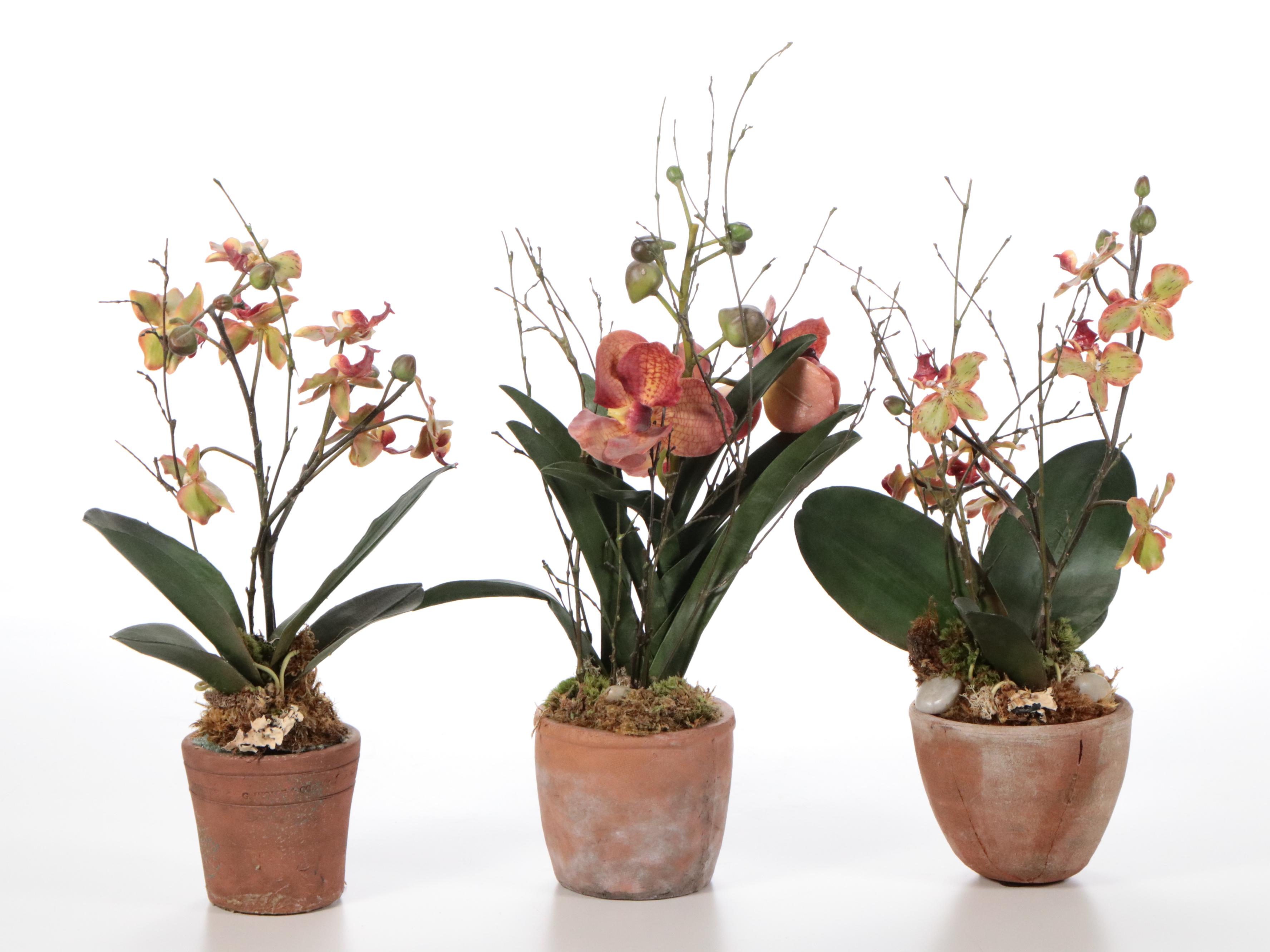 HomArt Metal Plant Stands with Artificial Orchids and More Faux Plants