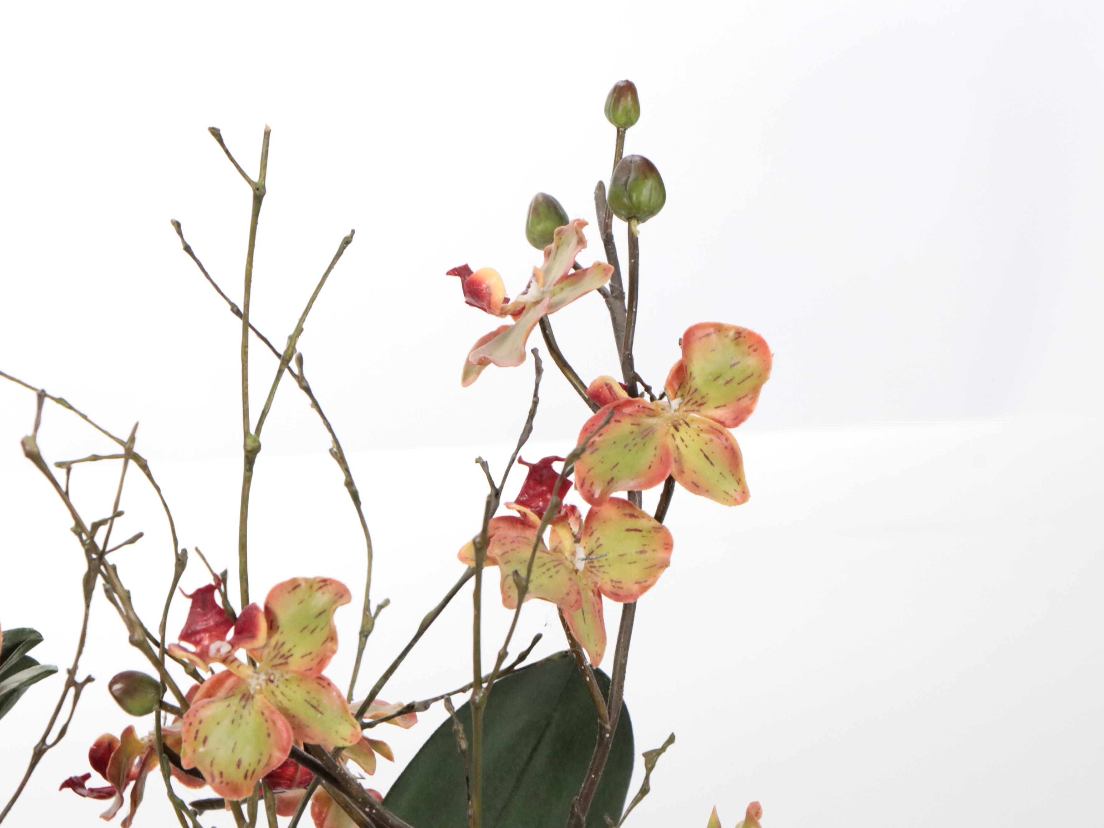HomArt Metal Plant Stands with Artificial Orchids and More Faux Plants