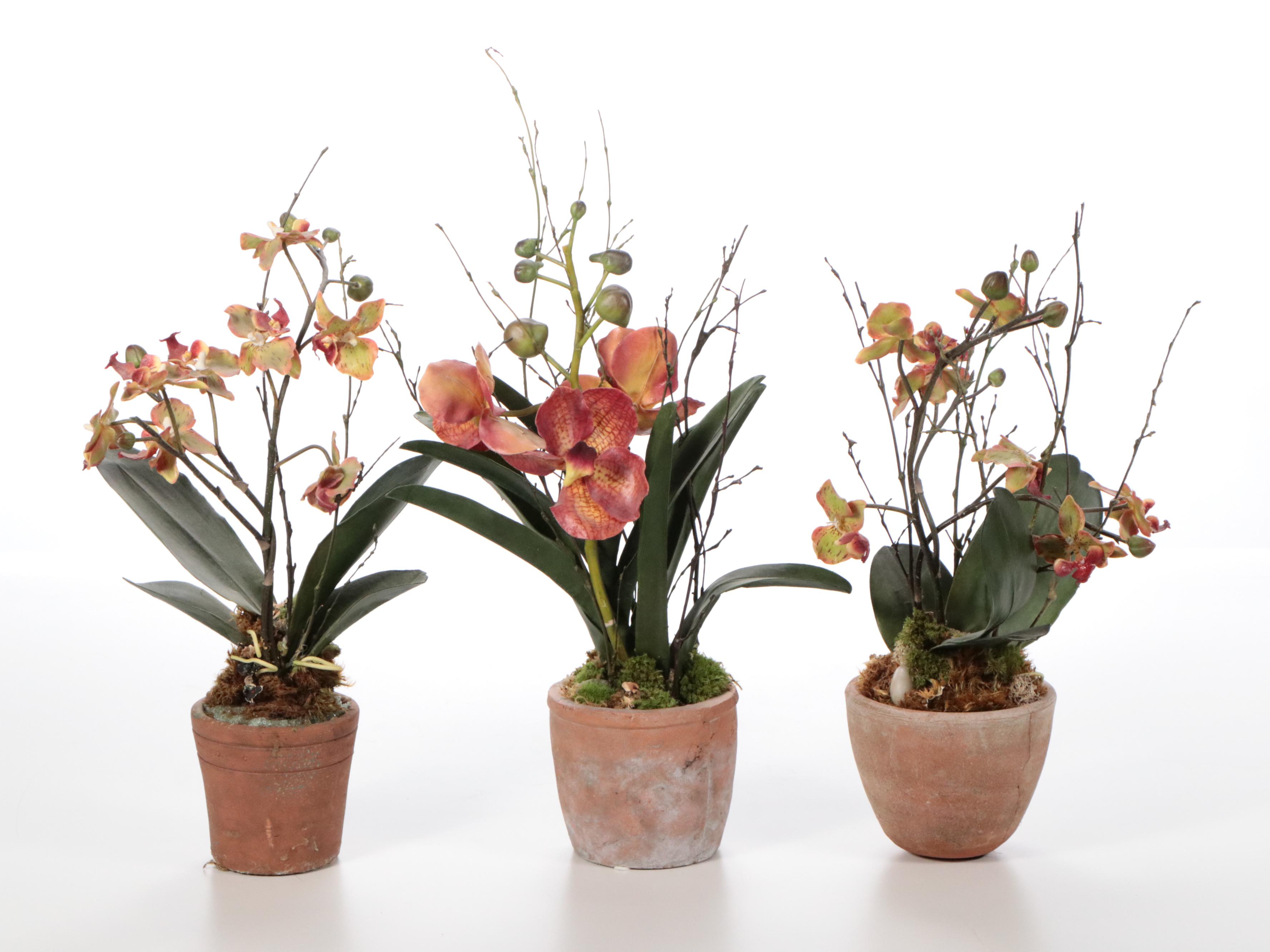 HomArt Metal Plant Stands with Artificial Orchids and More Faux Plants