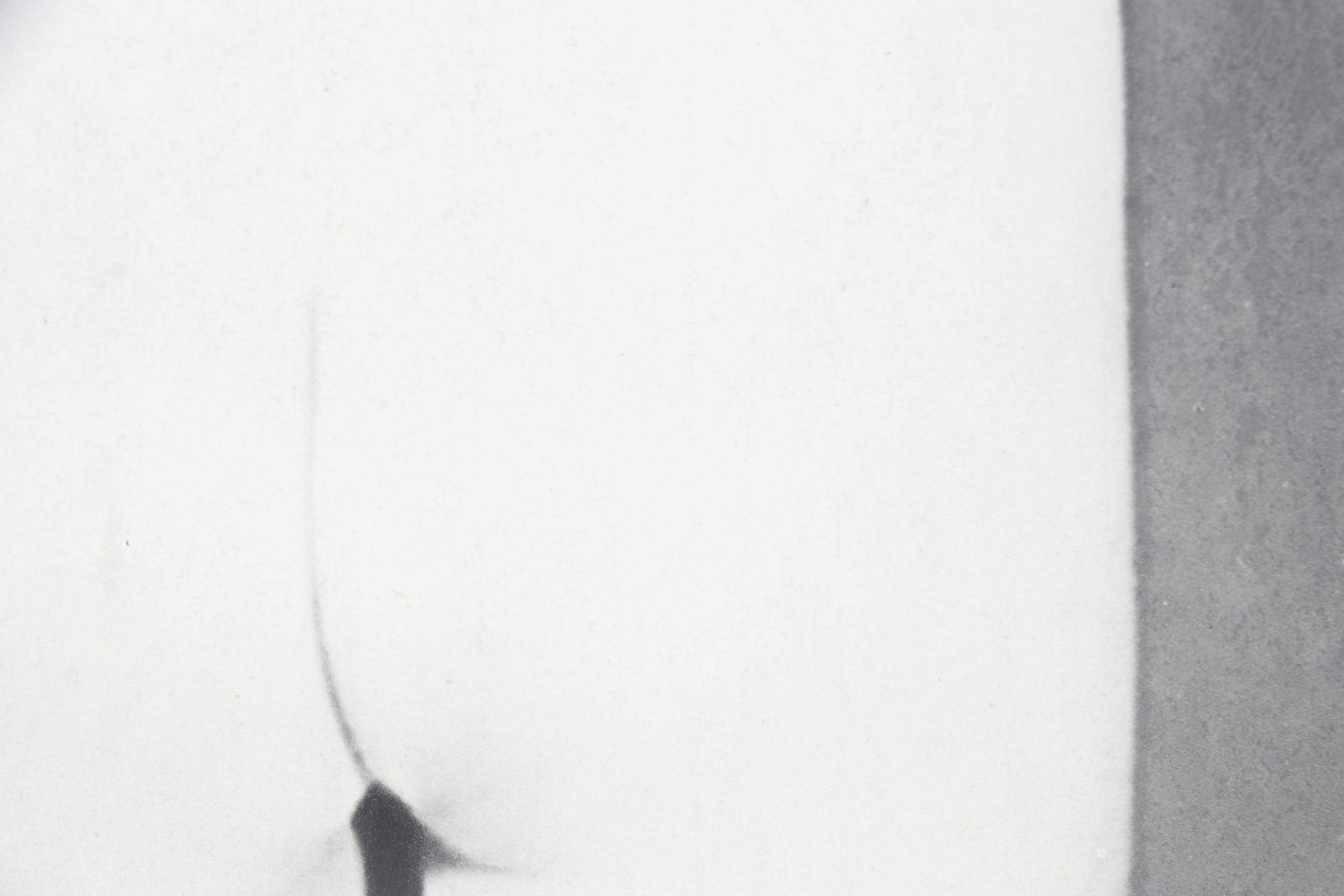 Man Ray Photogravure of Female Nude With Turned Back, 1934