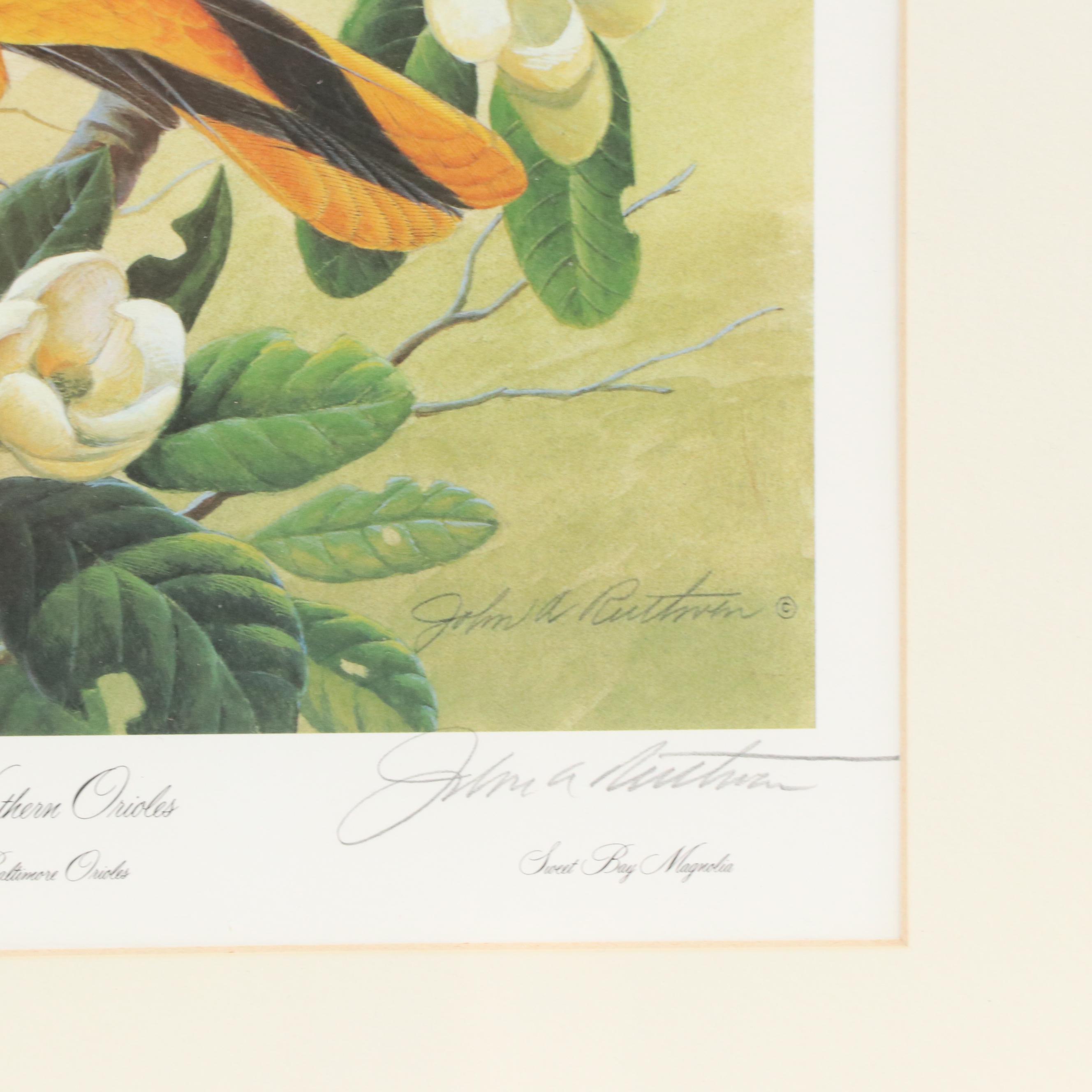 John A Ruthven Offset Lithograph "Northern Orioles," Circa 1992