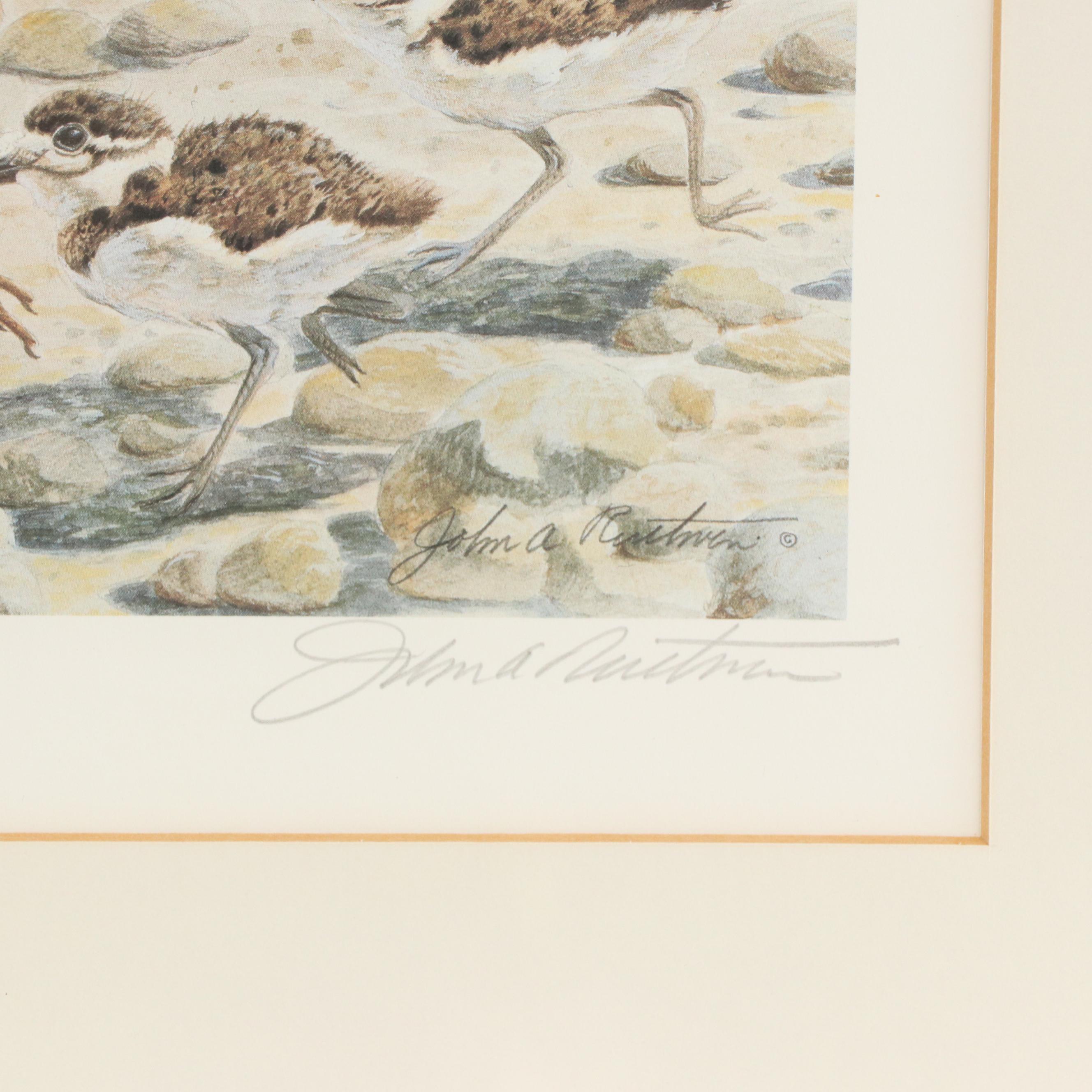 John A. Ruthven Offset Lithograph "Killdeer," Circa 1989