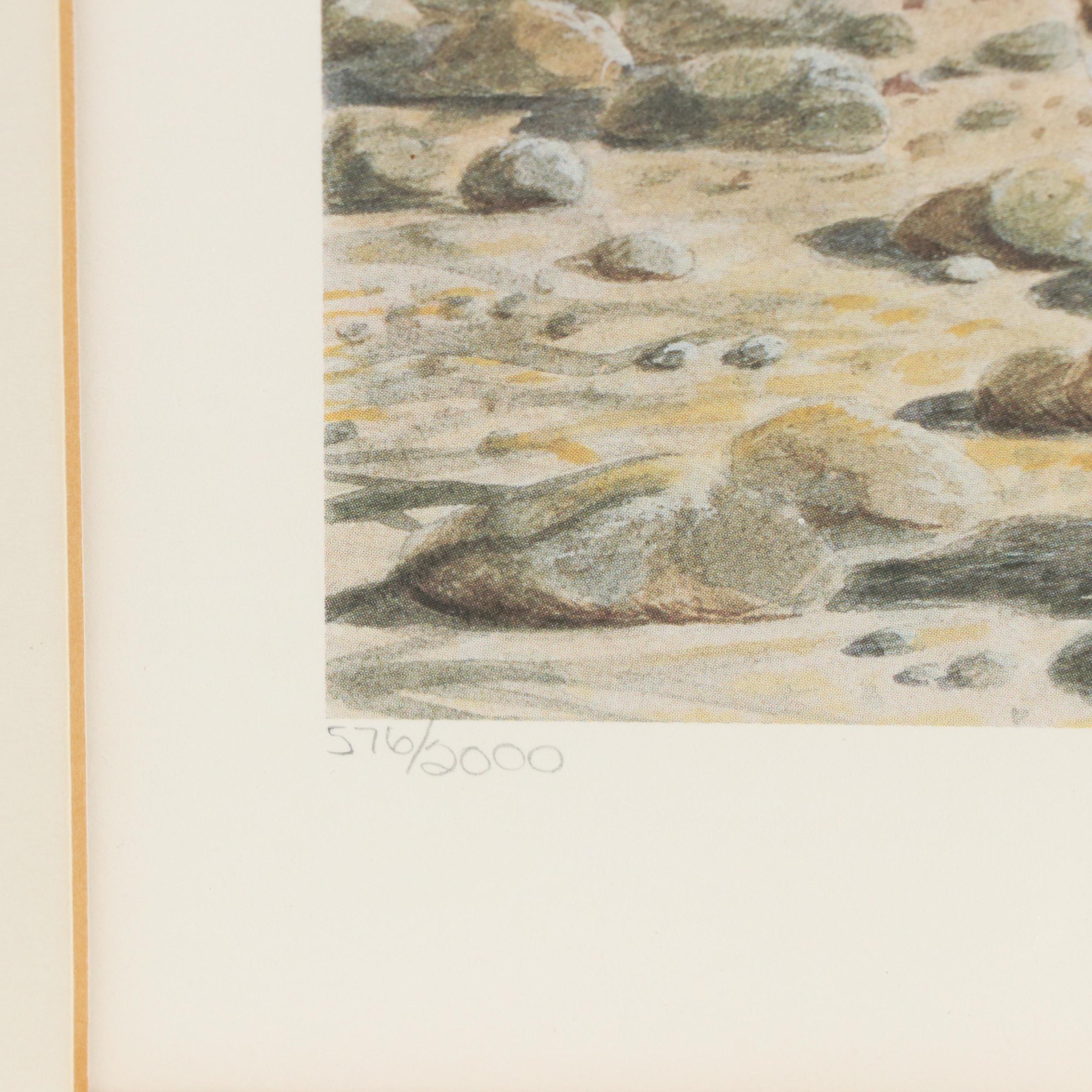 John A. Ruthven Offset Lithograph "Killdeer," Circa 1989