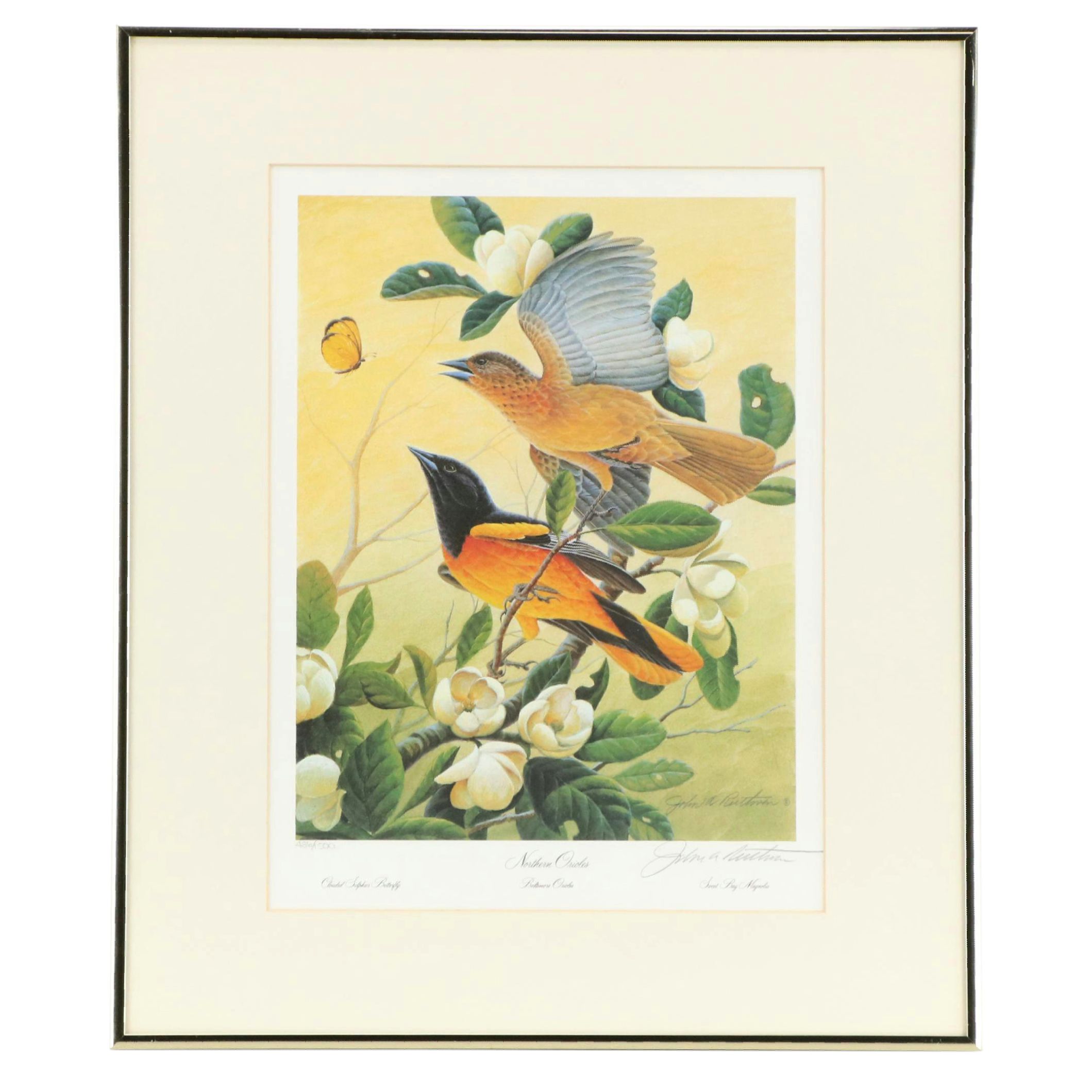 John A Ruthven Offset Lithograph "Northern Orioles," Circa 1992
