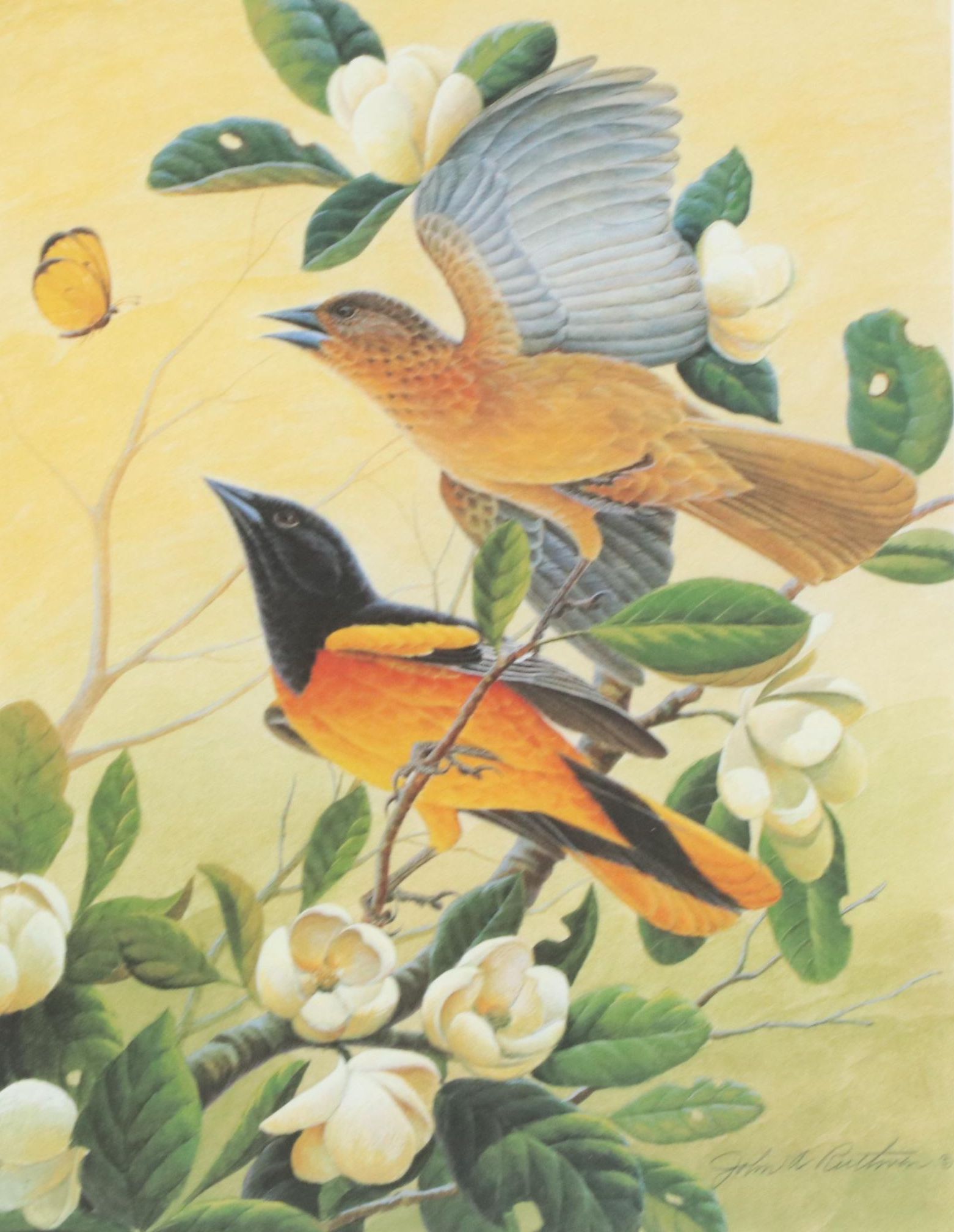 John A Ruthven Offset Lithograph "Northern Orioles," Circa 1992
