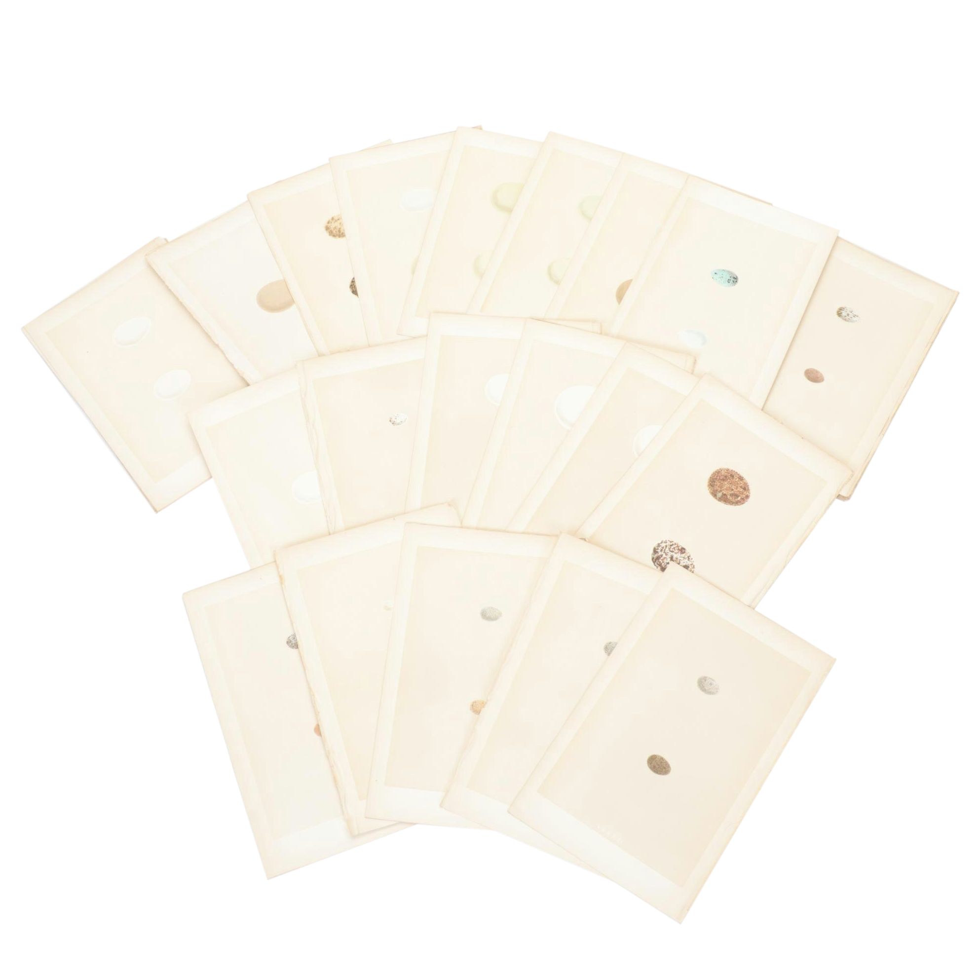 Egg Bookplates from "A Natural History of the Nests & Eggs of British Birds"