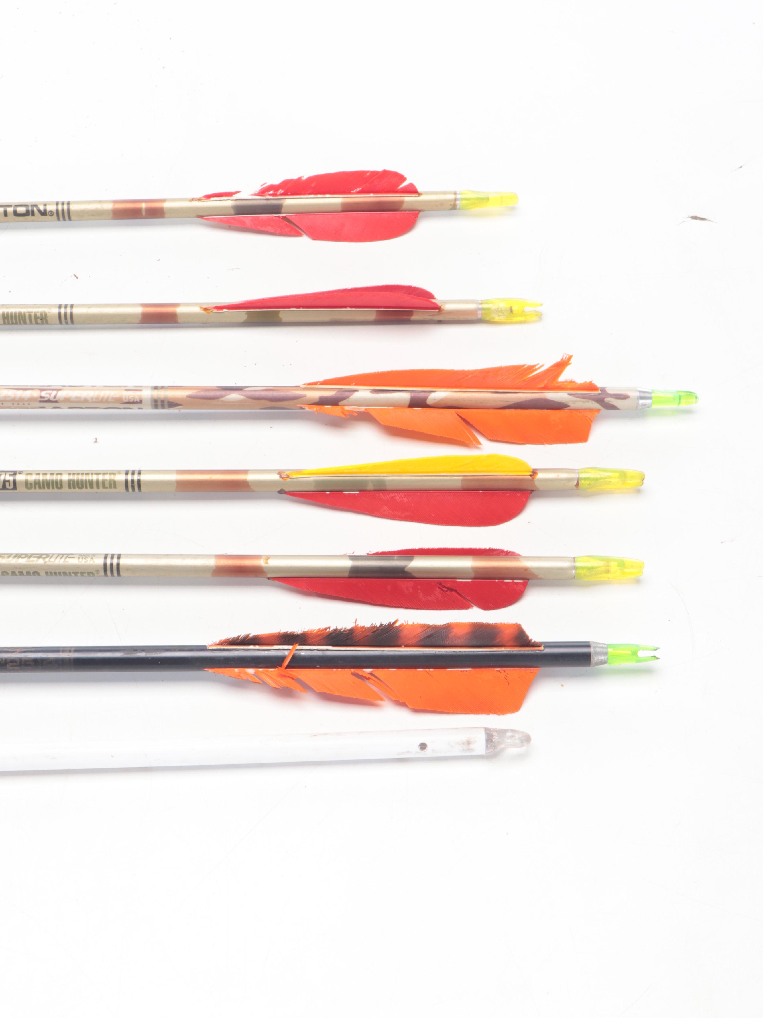 Golden Eagle Compound Bow with Hard Case and Arrows