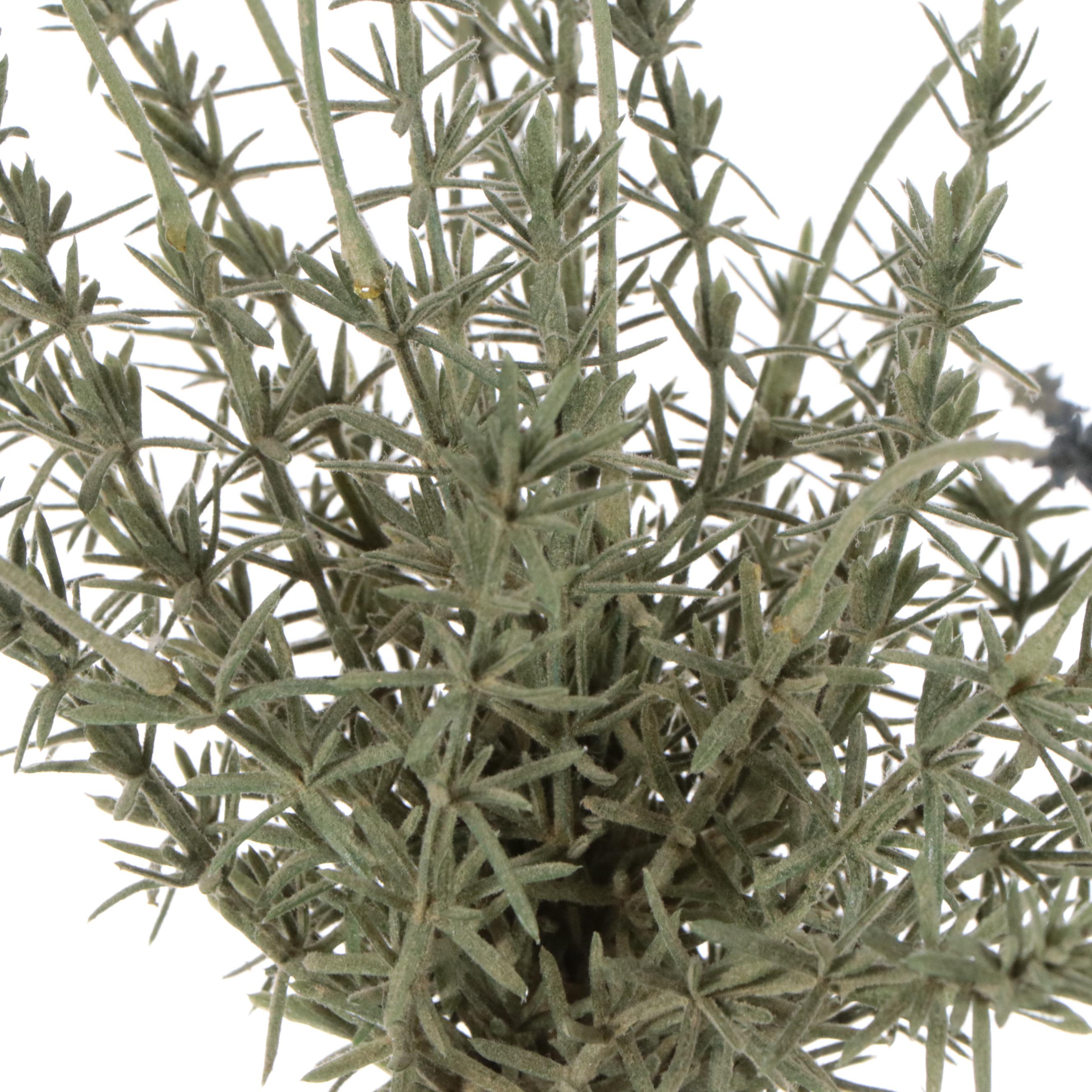 White Composite Wicker Planter Box, Faux Topiaries & Faux Lavender Tree, More