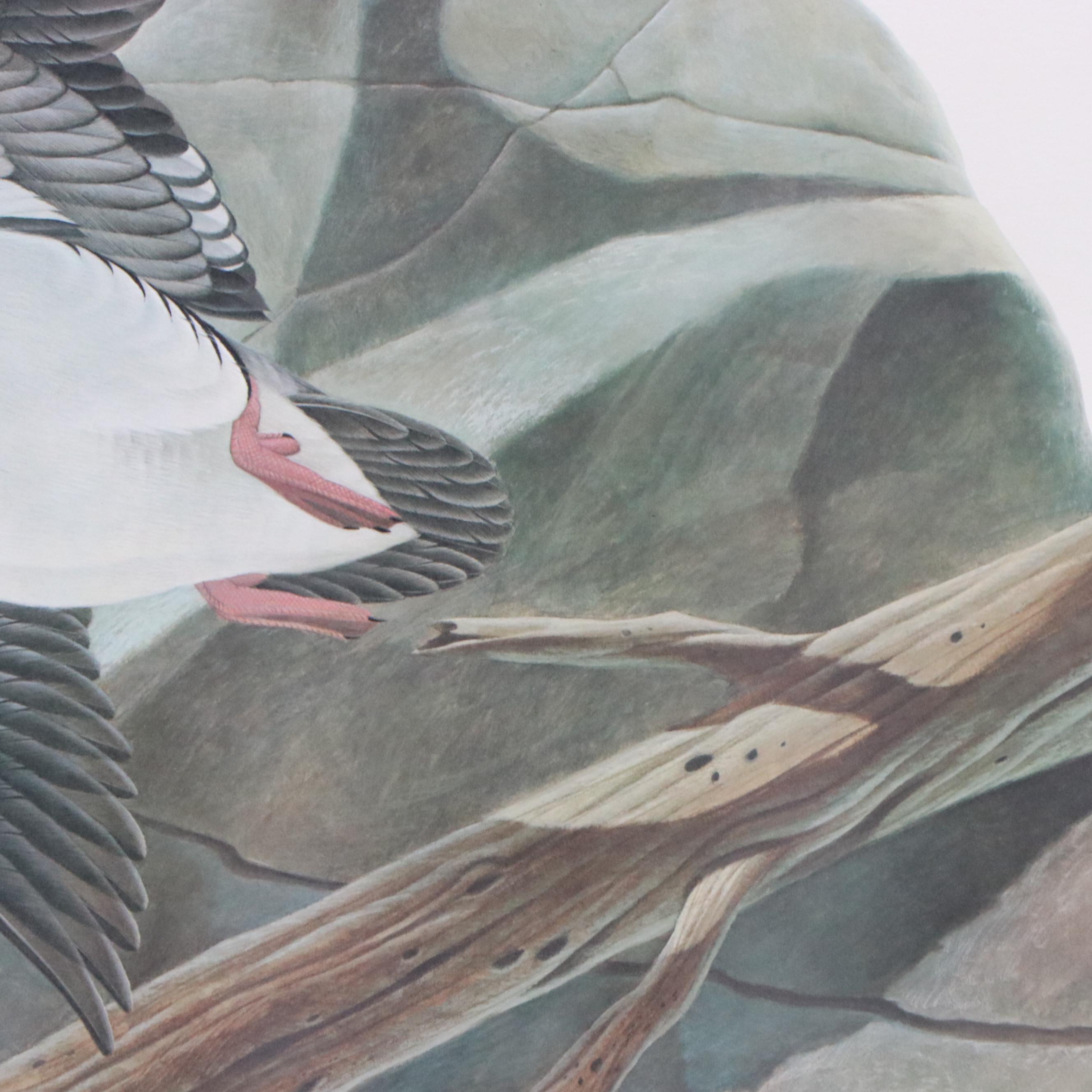 John Ruthven Offset Lithograph "Bufflehead Duck"